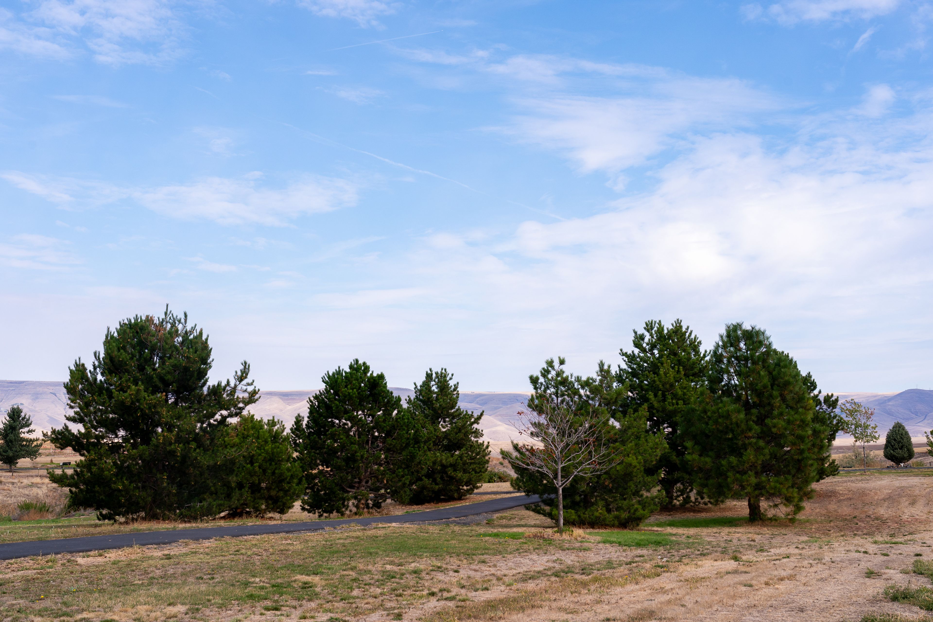 The Lewiston Community Park is pictured on Saturday in Lewiston.