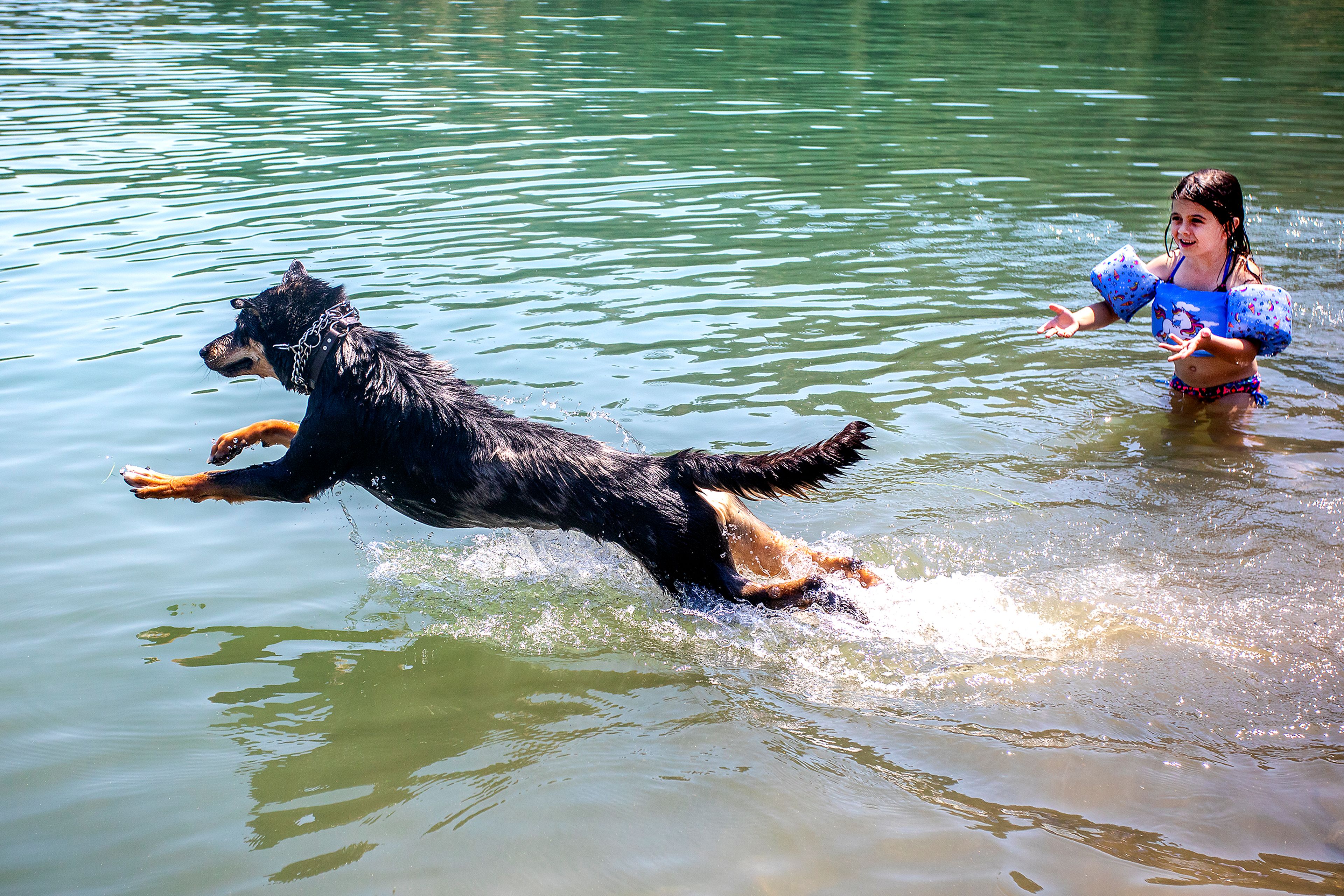 Paislee Rodgers, 7, of Lenore, watches Ruger leap into the waters of the Dworshak Reservoir after a tennis ball in June 2021.