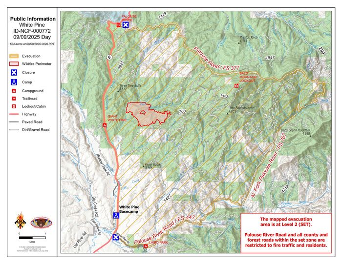 White Pine Fire near Harvard grows to 800 acres, 10% contained