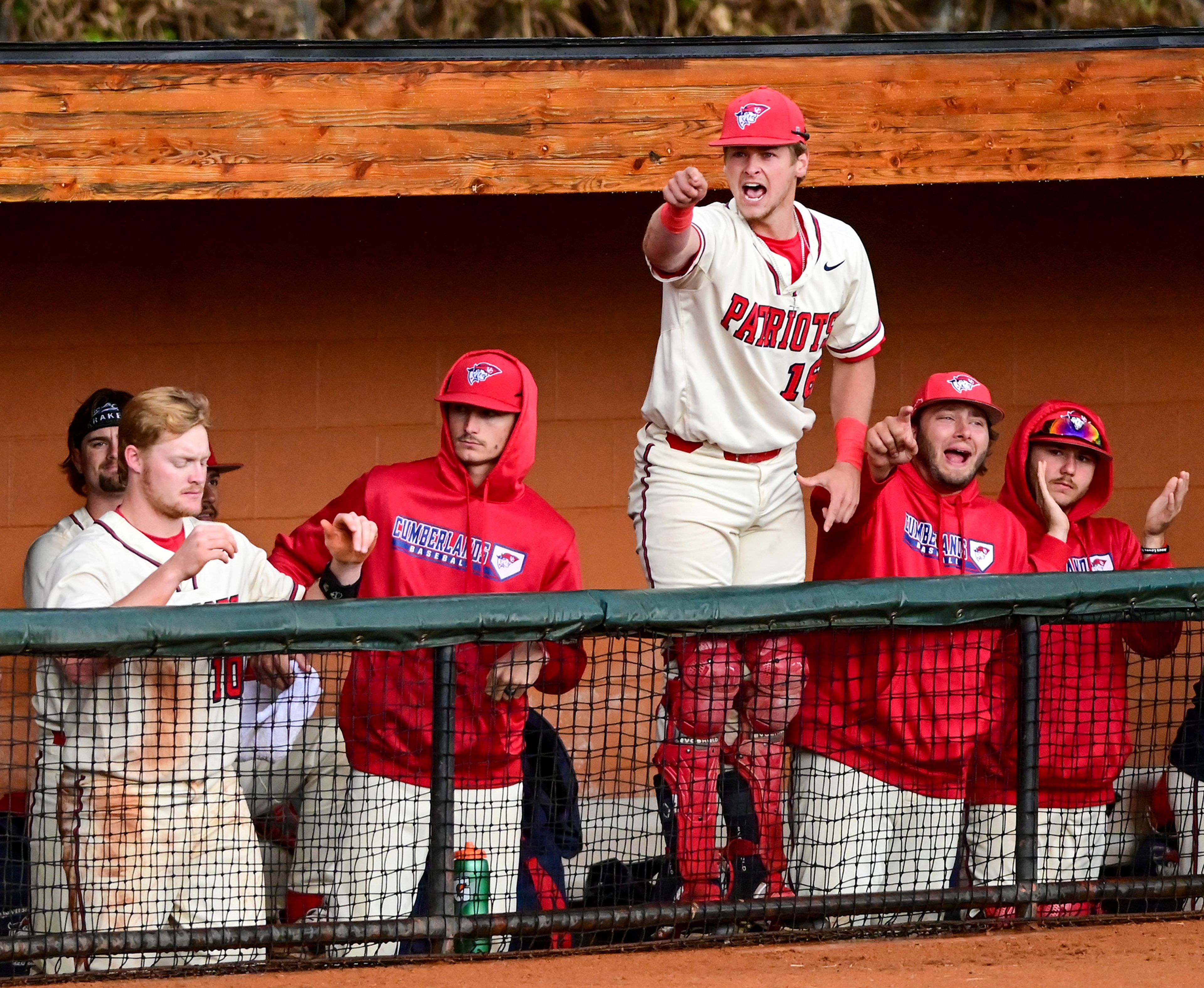 Cumberlands’ Aiden McClary shouts at teammates from the dugout during a game against Tennessee Wesleyan on the opening day of the NAIA World Series at Harris Field in Lewiston on Friday.