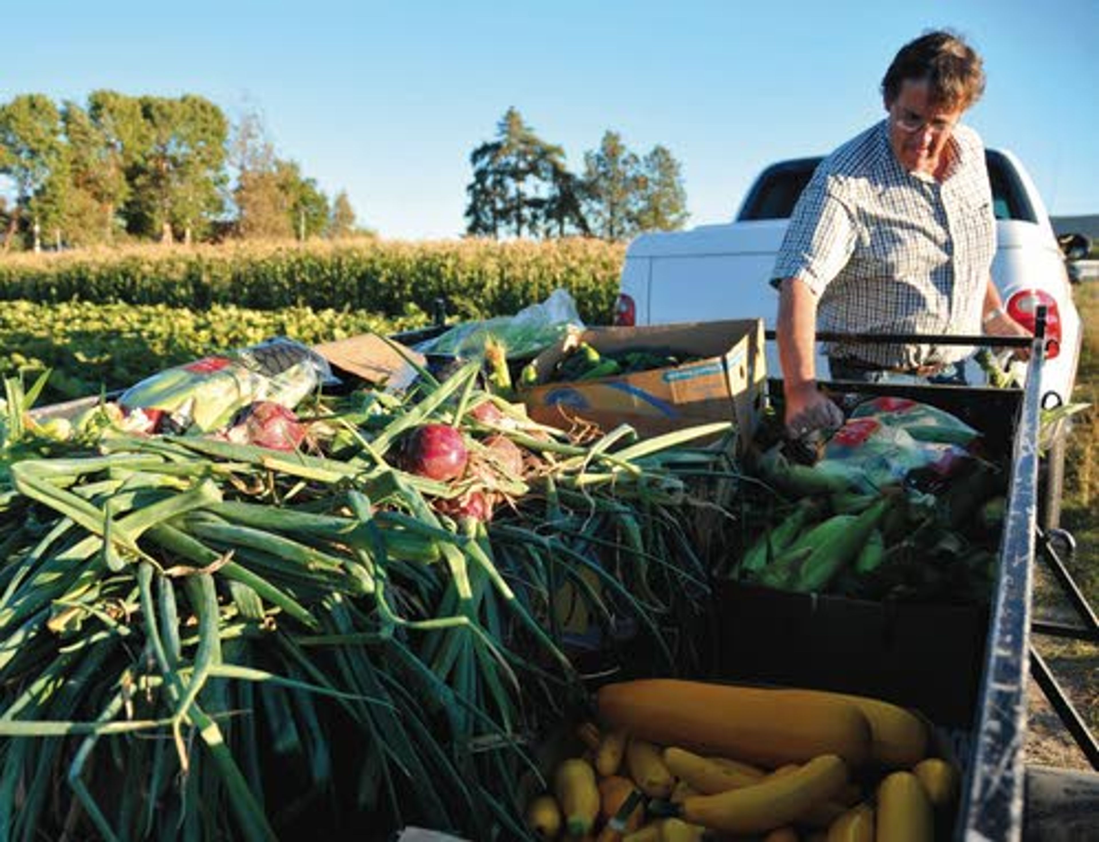 Production Garden offers bounty for local groups