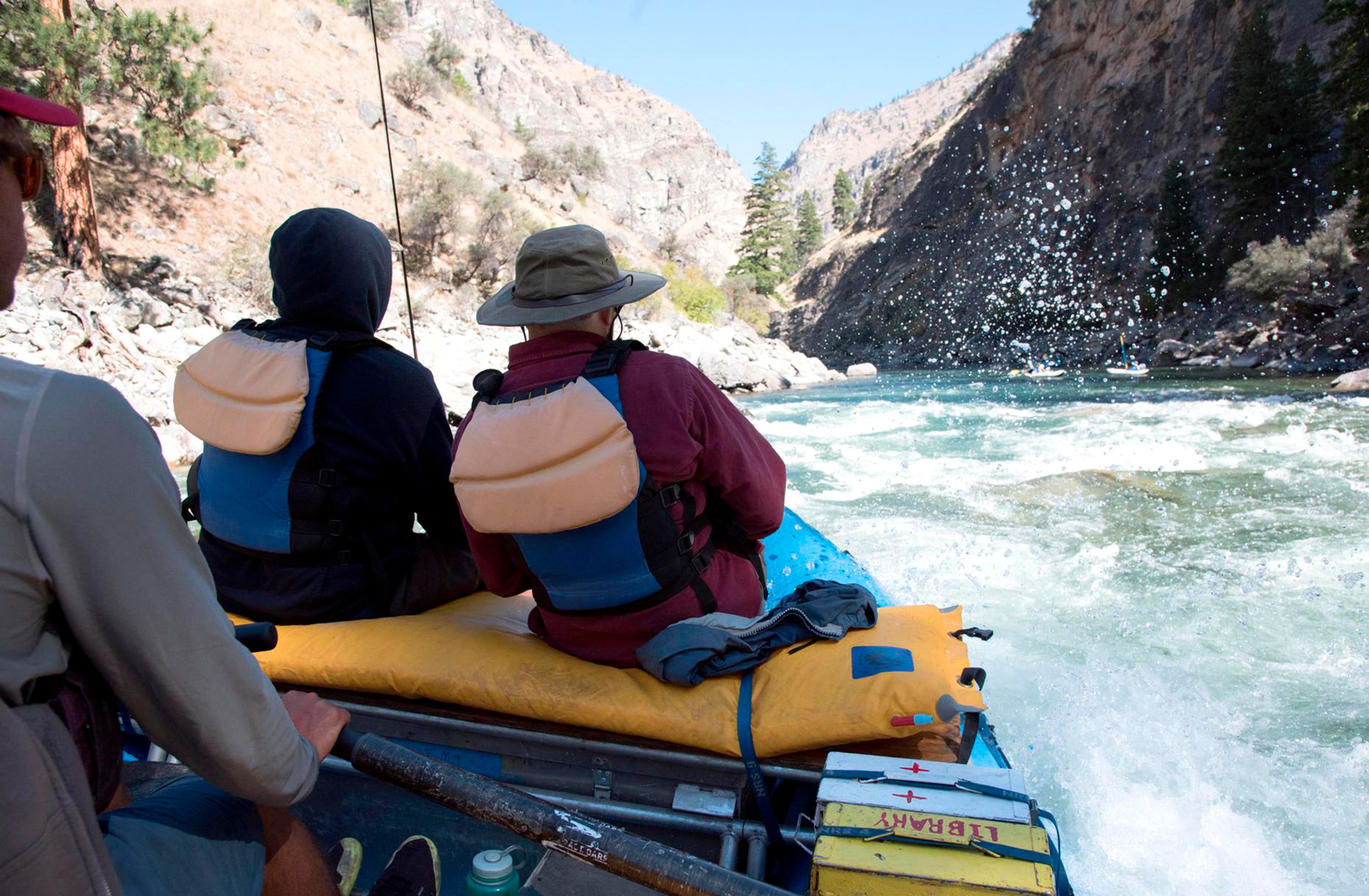 Running bureaucratic rapids