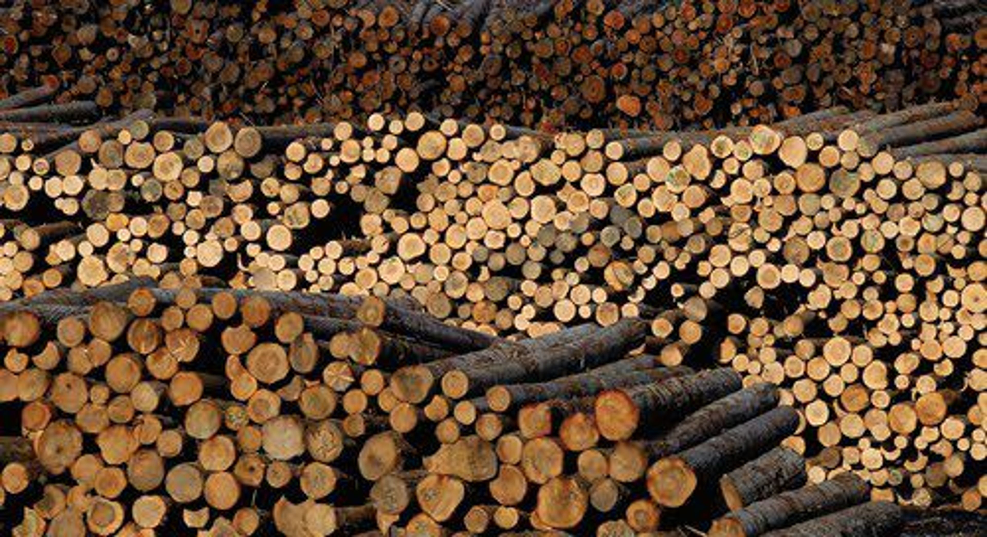 Idaho Forest Group timber stacks