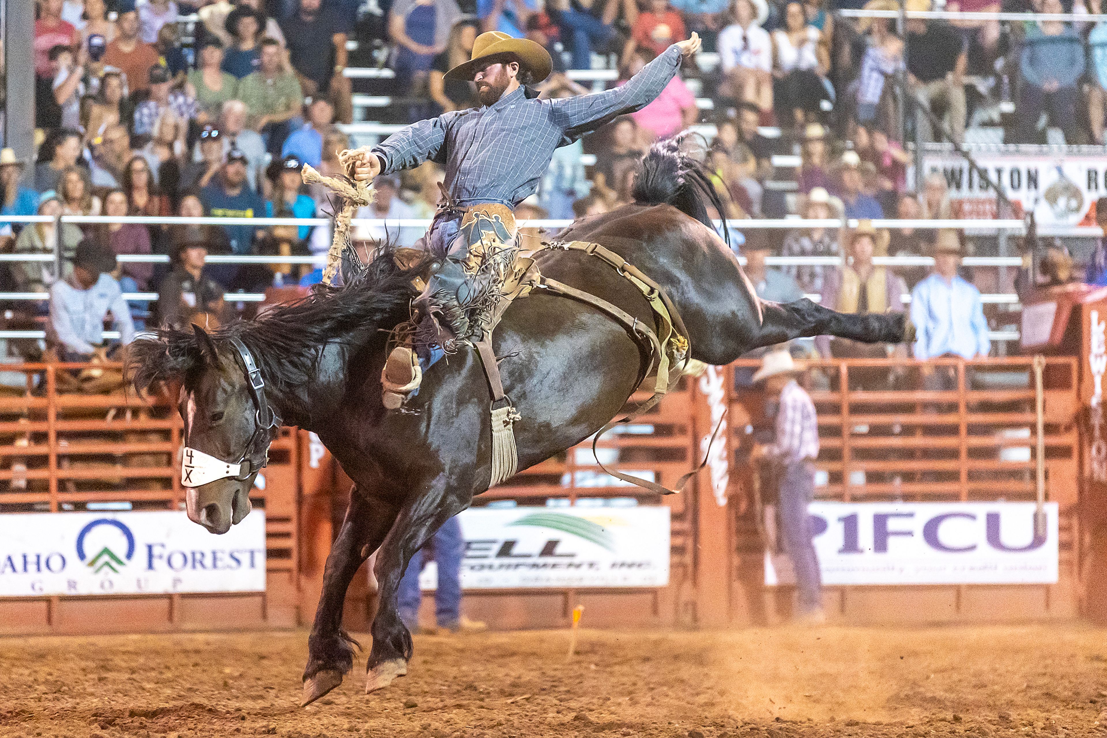 Ryan Verling rides Marquee in the saddle bronc competition on day 2 of the Lewiston Roundup.