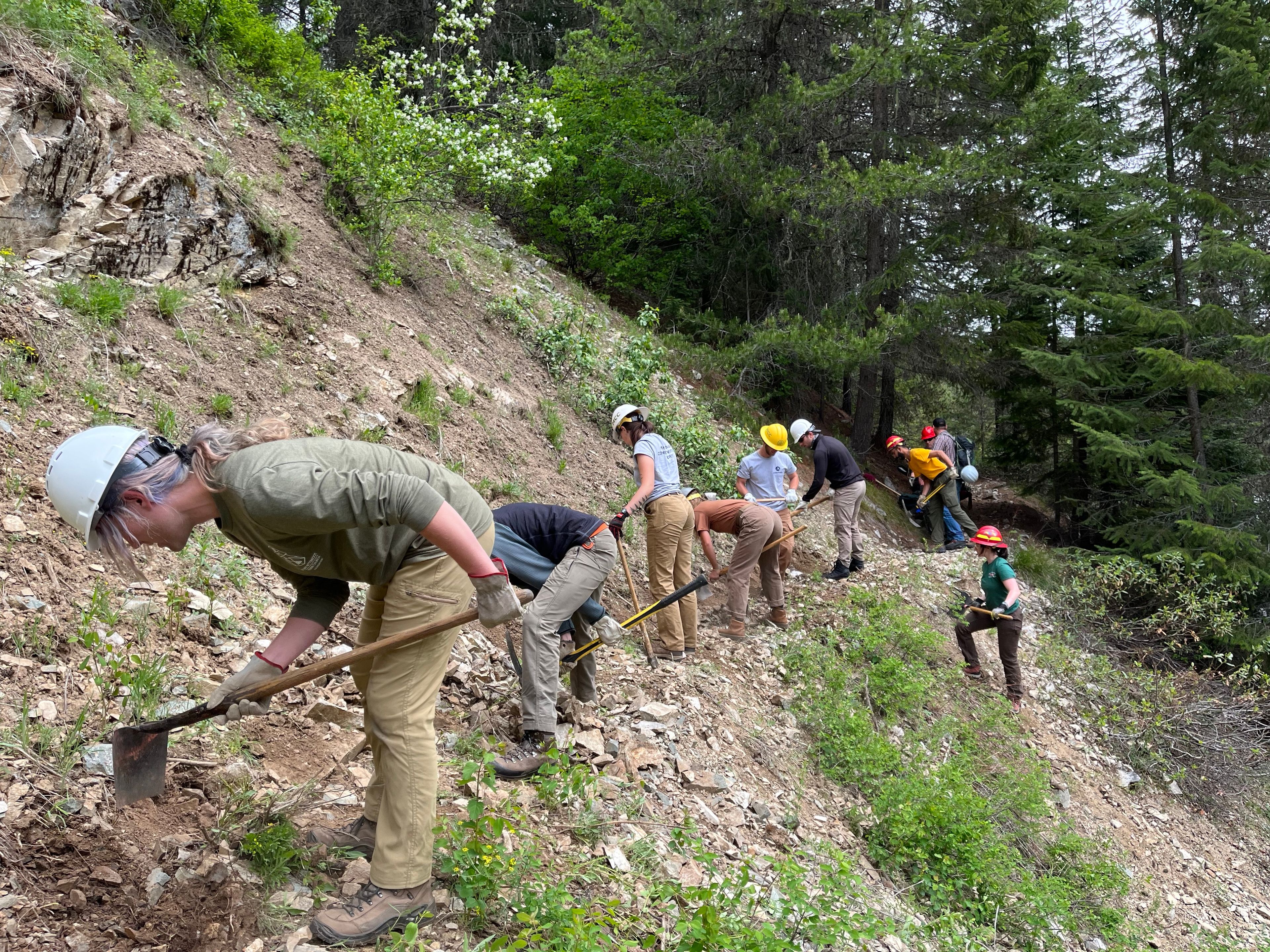 Forest Service freezes out temporary workforce