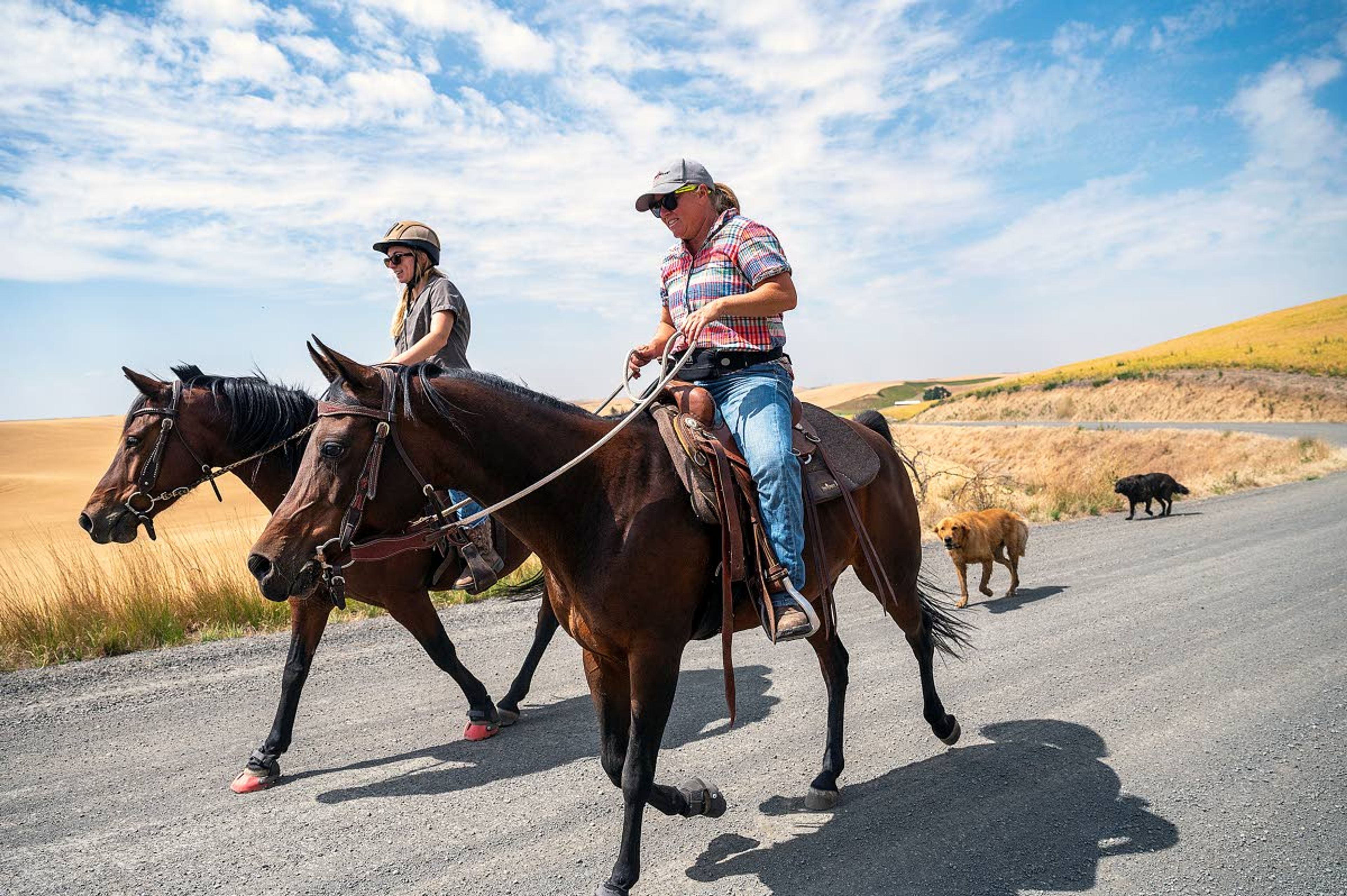 Hailey Johnson (left) rides alongside her mother, Kim, both of Genesee, as their dogs, Brutus (center-right) and Brutus’ mother, Ruth, follow them east on Borgen Road on the Palouse on Thursday afternoon. Today’s forecast calls for more warm, dry weather on the Palouse, with the temperature expected to reach a high of 80. The Lewiston-Clarkston Valley forecast calls for a high of 90.