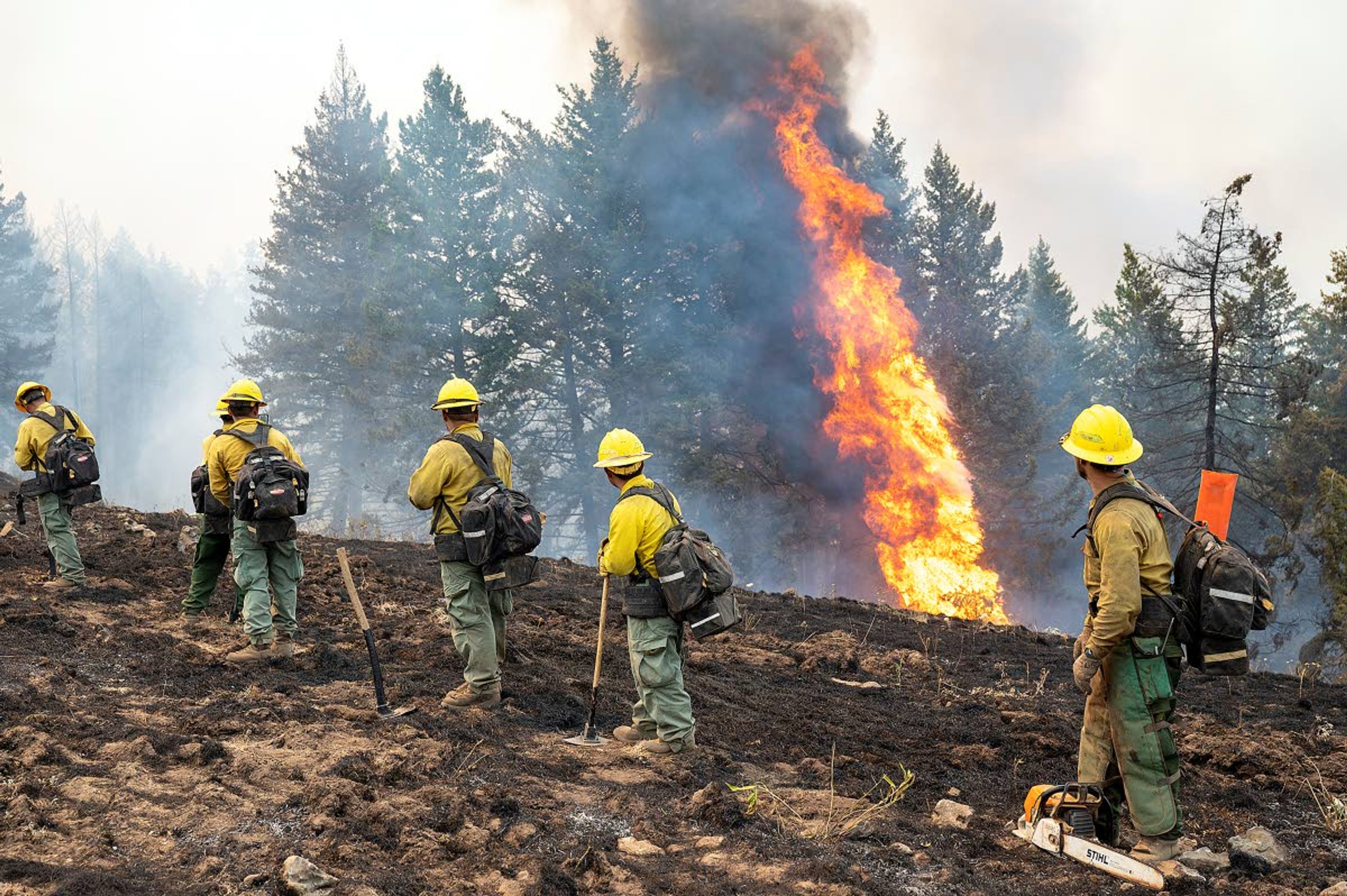 A tree catches fire as a crew prepares to head out to secure a fire line atop Harlow Ridge on Monday afternoon at the Lick Creek Fire on Monday afternoon southwest of Asotin.