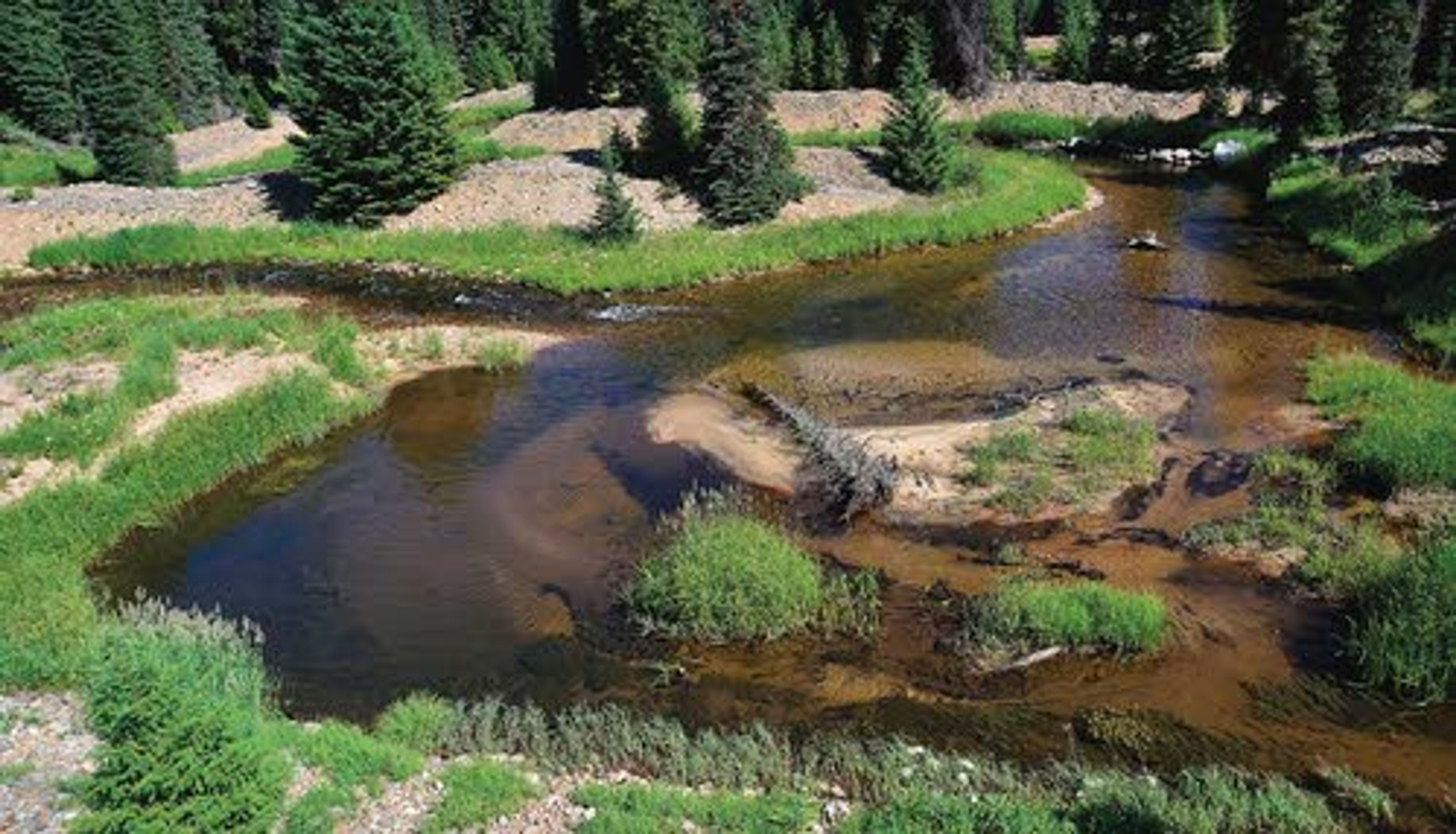 Tailings piles from dredge mining on the Crooked River are negatively impacting fish habitat and floodplain function. The Nez Perce Tribe and Nez Perce-Clearwater National Forest want to restore the lower end of the river.