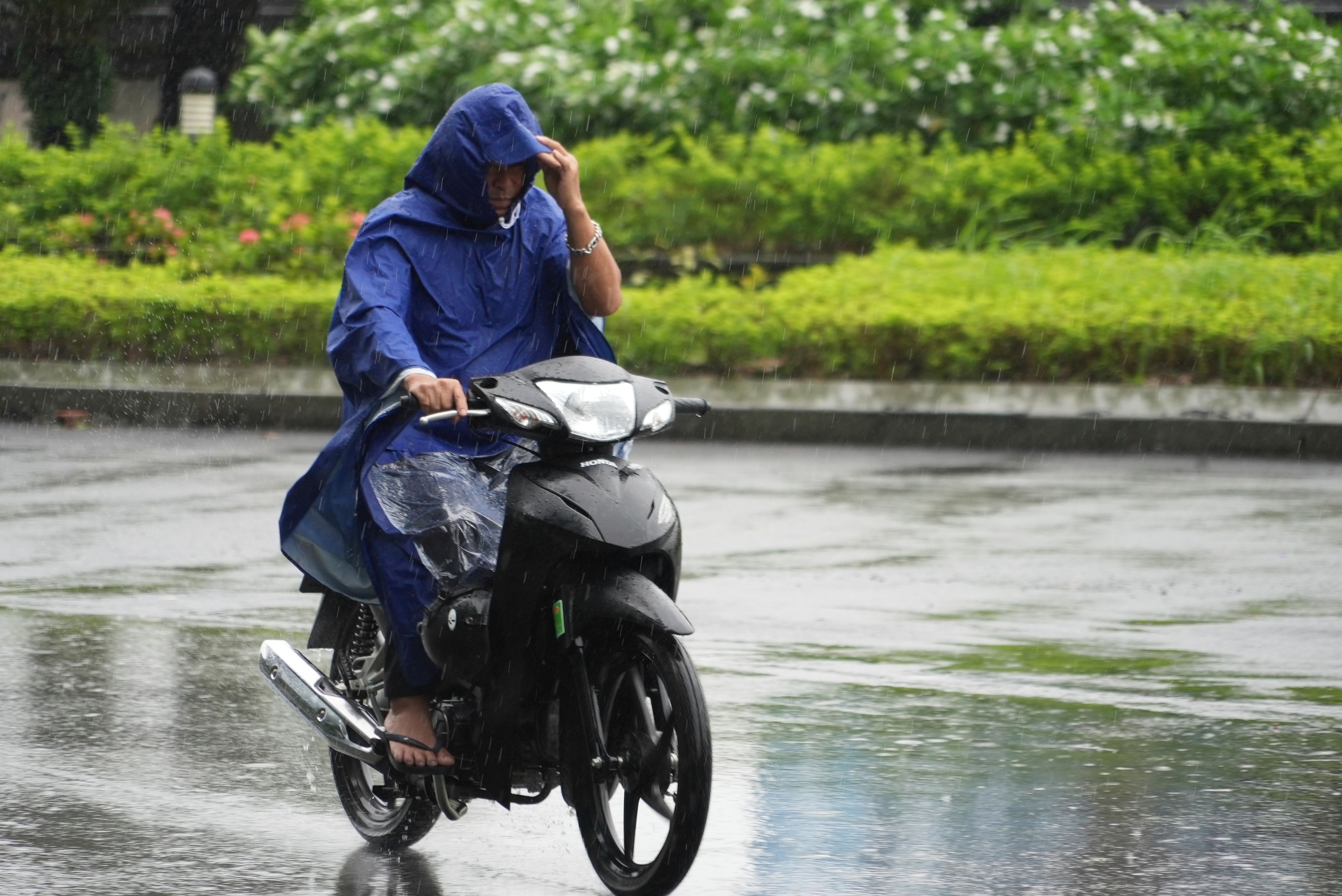 A man rides motorcycle in the rain caused by typhoon Yagi in Hanoi, Vietnam on Sep. 7, 2024.