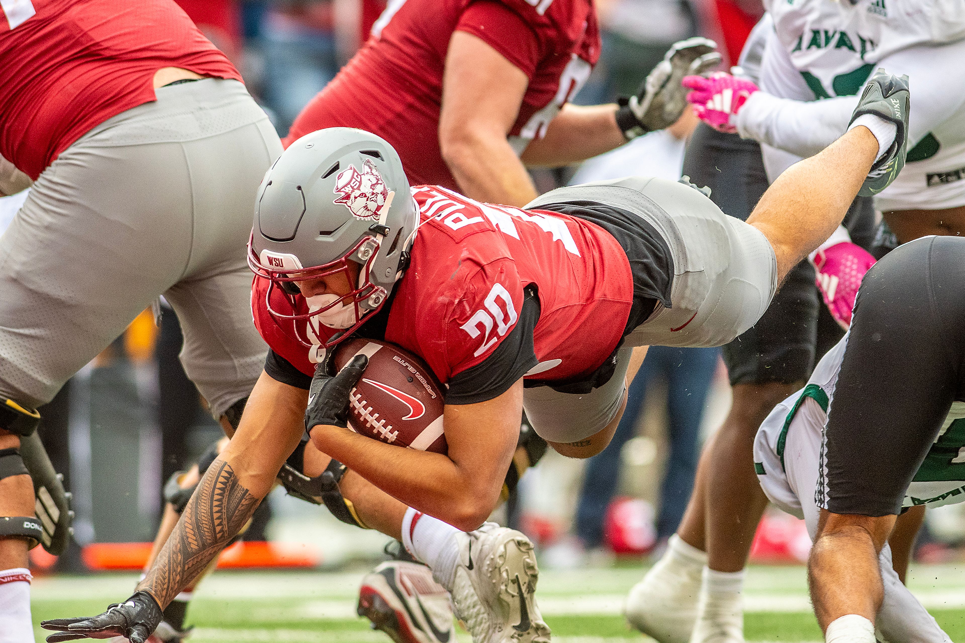 Washington State running back Leo Pulalasi  dives into the end zone for a touchdown against Hawaii in a college football game on Saturday at Gesa Field in Pullman. WSU defeated Hawaii 42-10.,