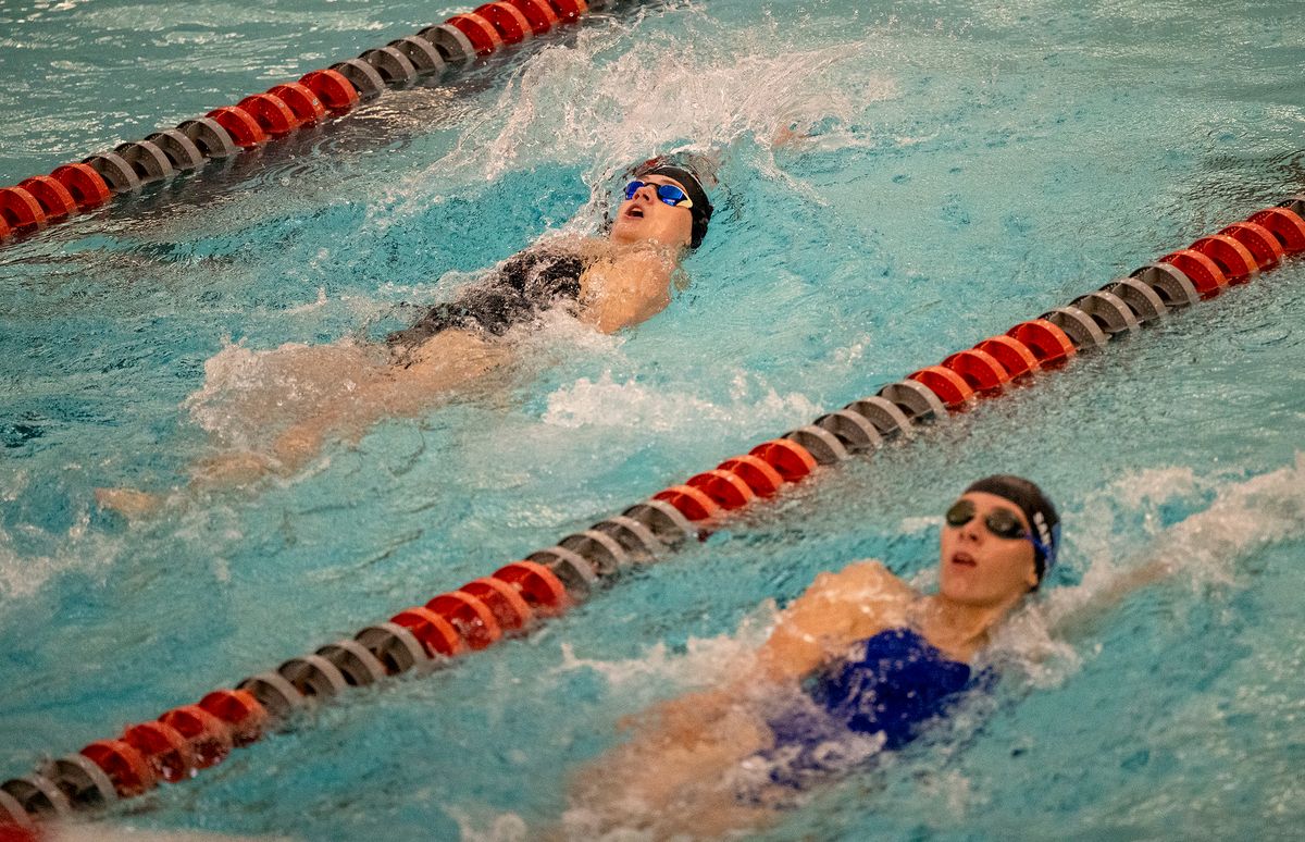 AREA ROUNDUP: Greyhound girls, Bear boys dominate prep swim ...