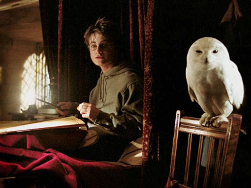 Harry Potter's magic explored in Nat'l Library of Medicine exhibit