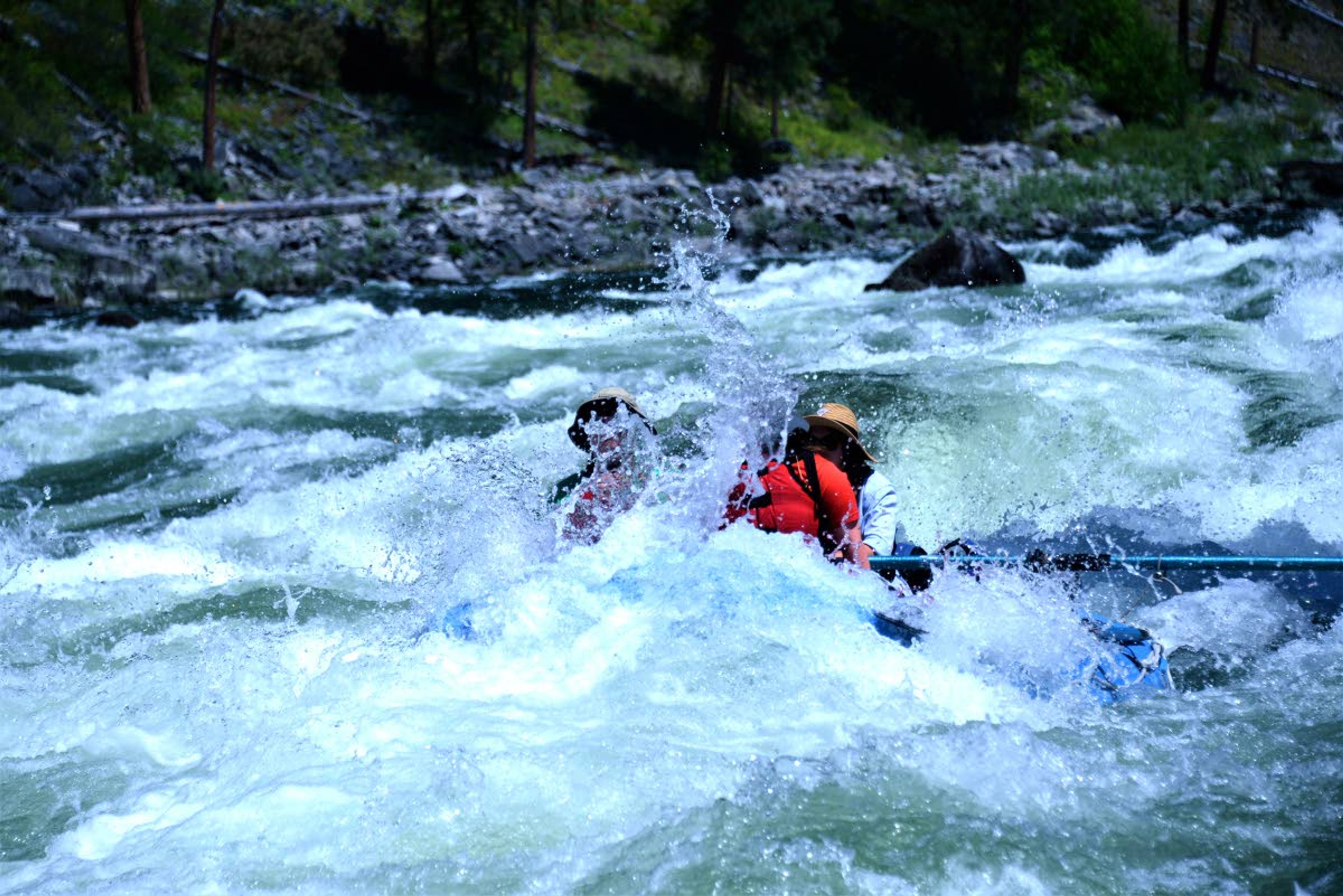 Karoline Woodhead rows team science through Mallard Rapid on the Salmon River.