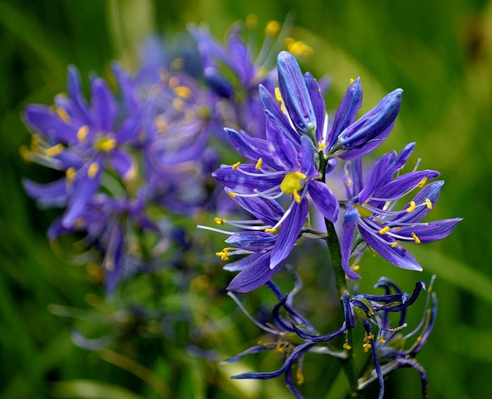 Stop and smell the flowers