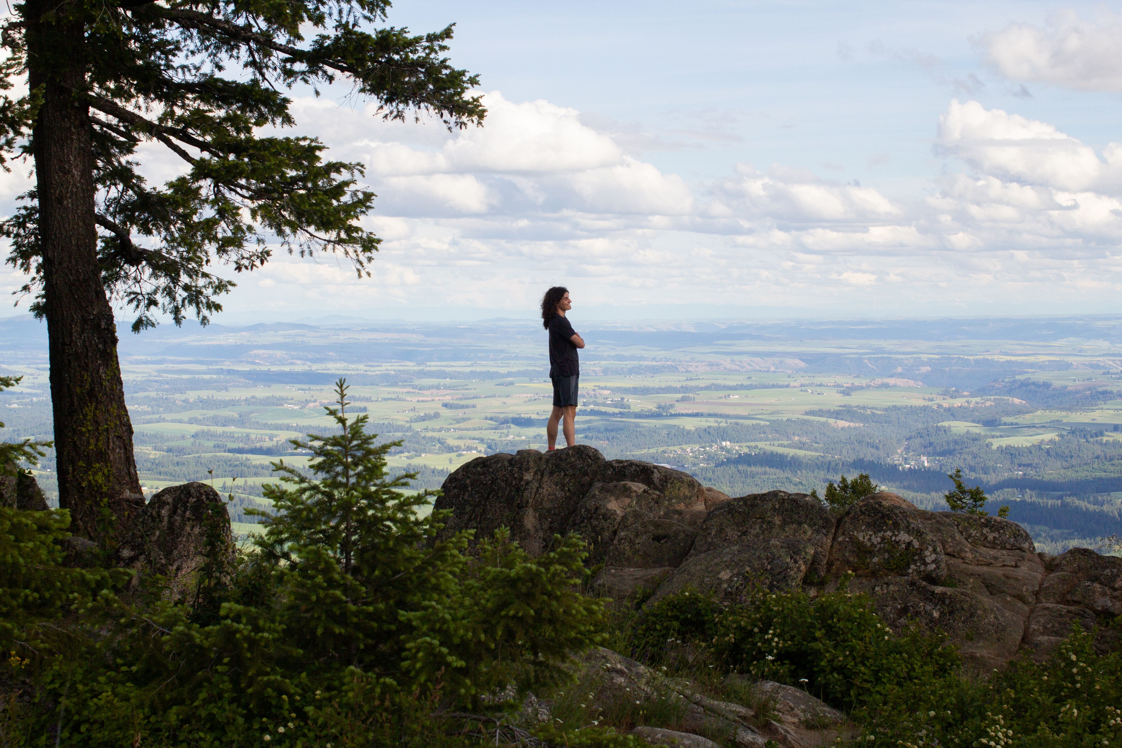 A hiker looks at the scenery from East Moscow Mountain.