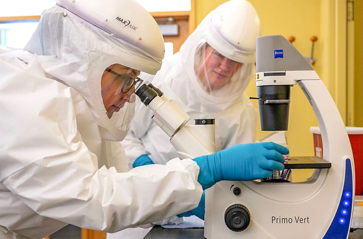 WSU research expenditures continue to grow for a fifth consecutive year