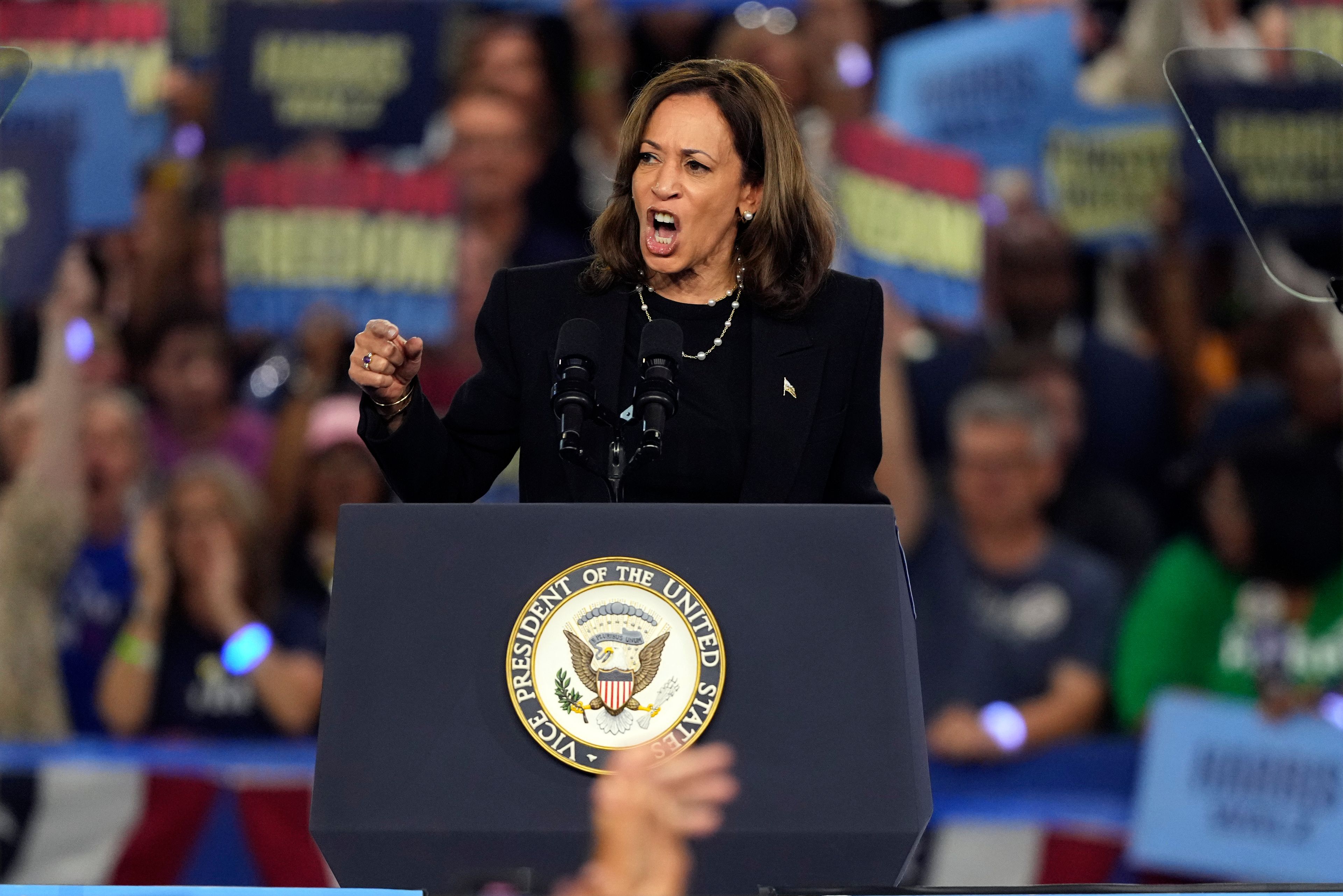 Democratic presidential nominee Vice President Kamala Harris speaks during a campaign event at the PA Farm Show Complex and Expo Center, Wednesday, Oct. 30, 2024, in Harrisburg, Pa. (AP Photo/Matt Slocum)