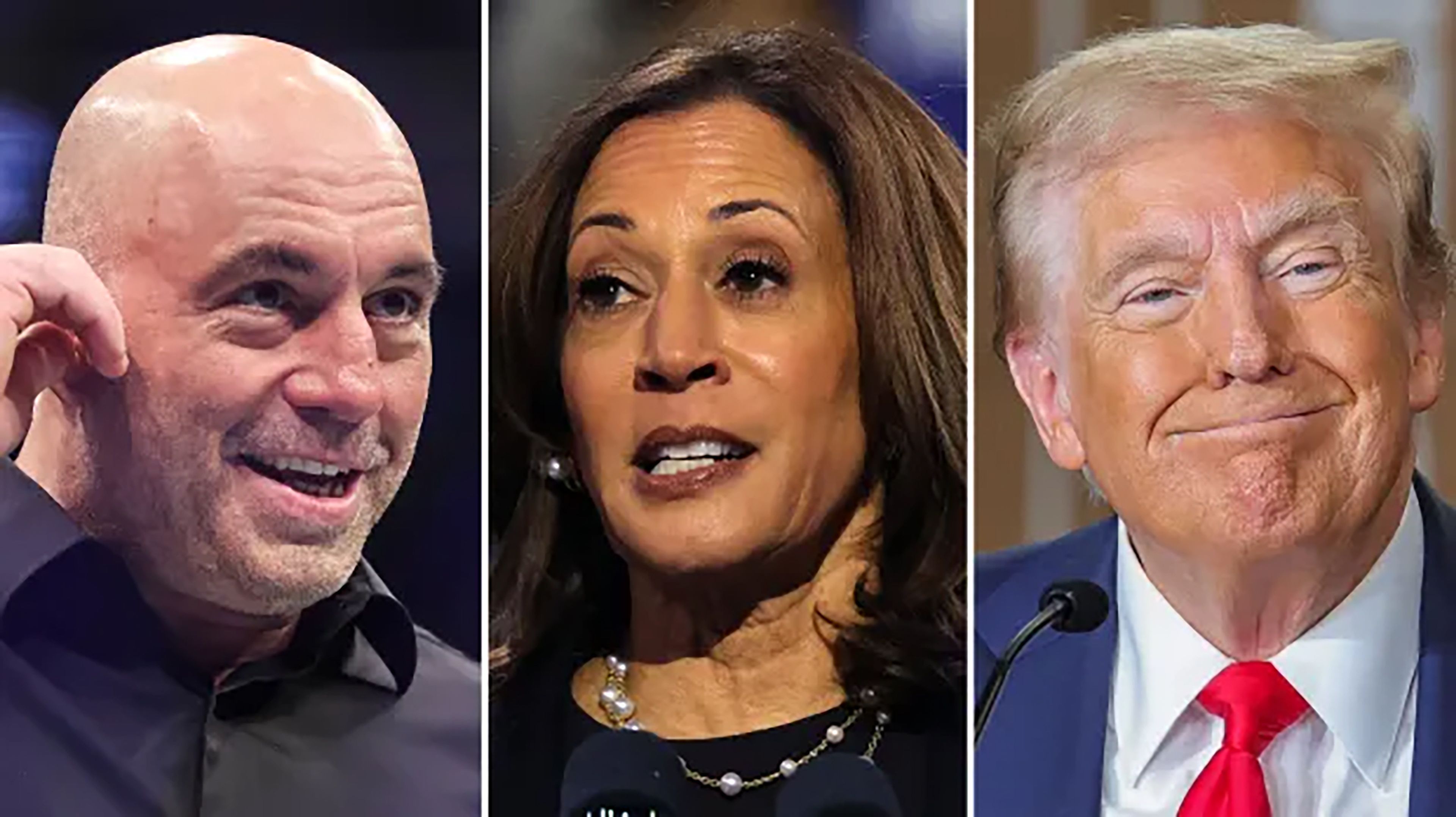 Joe Rogan could host Trump, Harris days before election