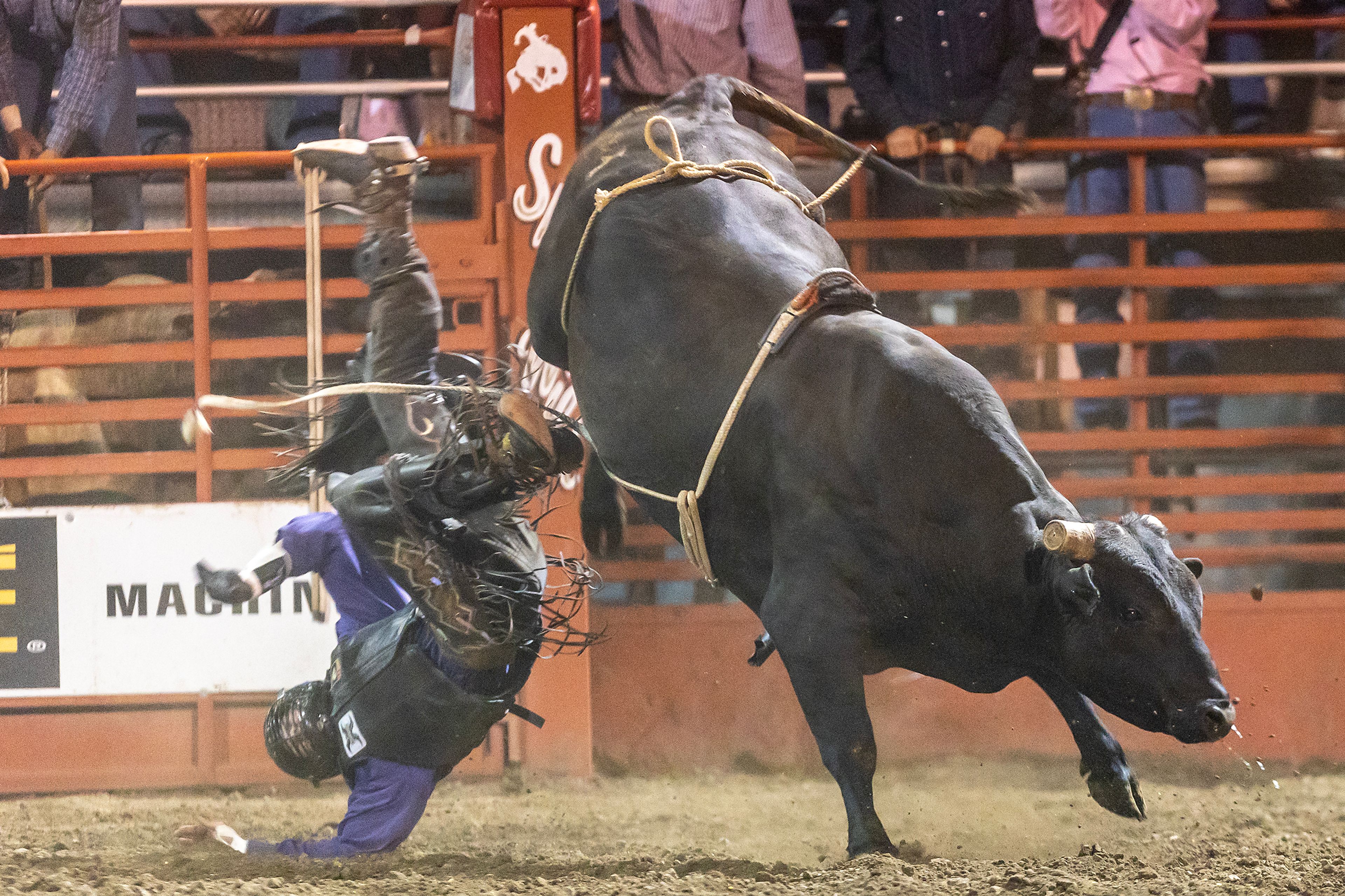 Jeff Bertus is thrown off of Dynamite in the bull riding competition on night 3 Friday at the Lewiston Roundup.