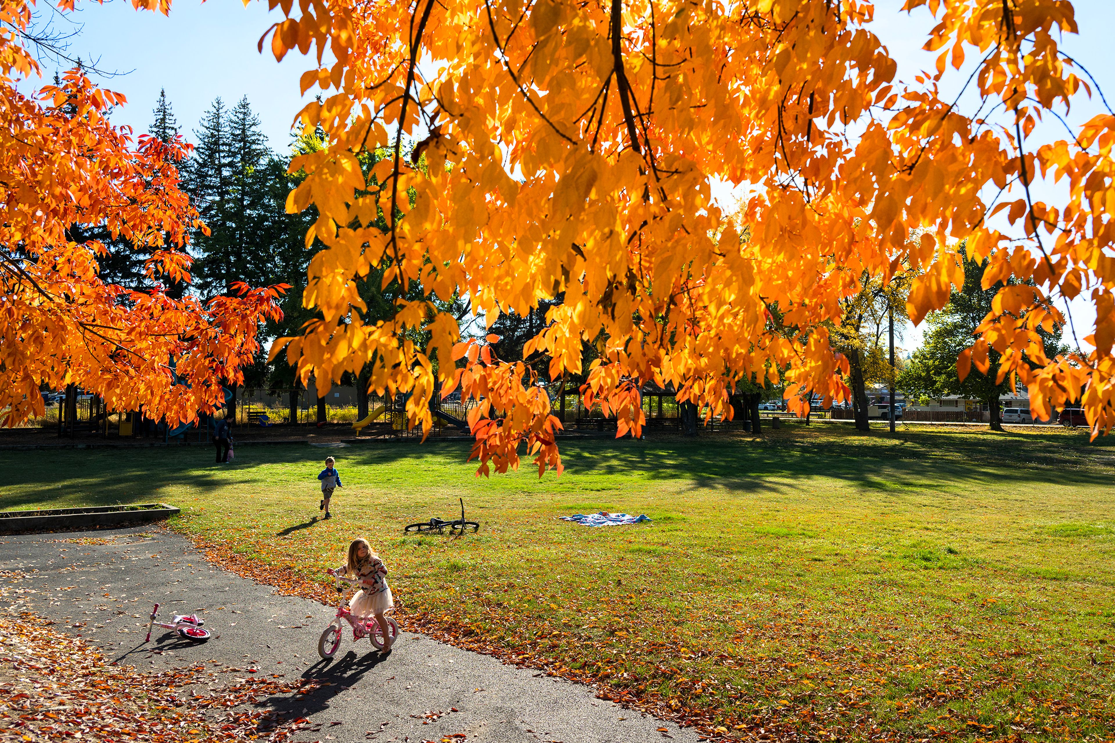 PHOTOS: The colors of  autumn