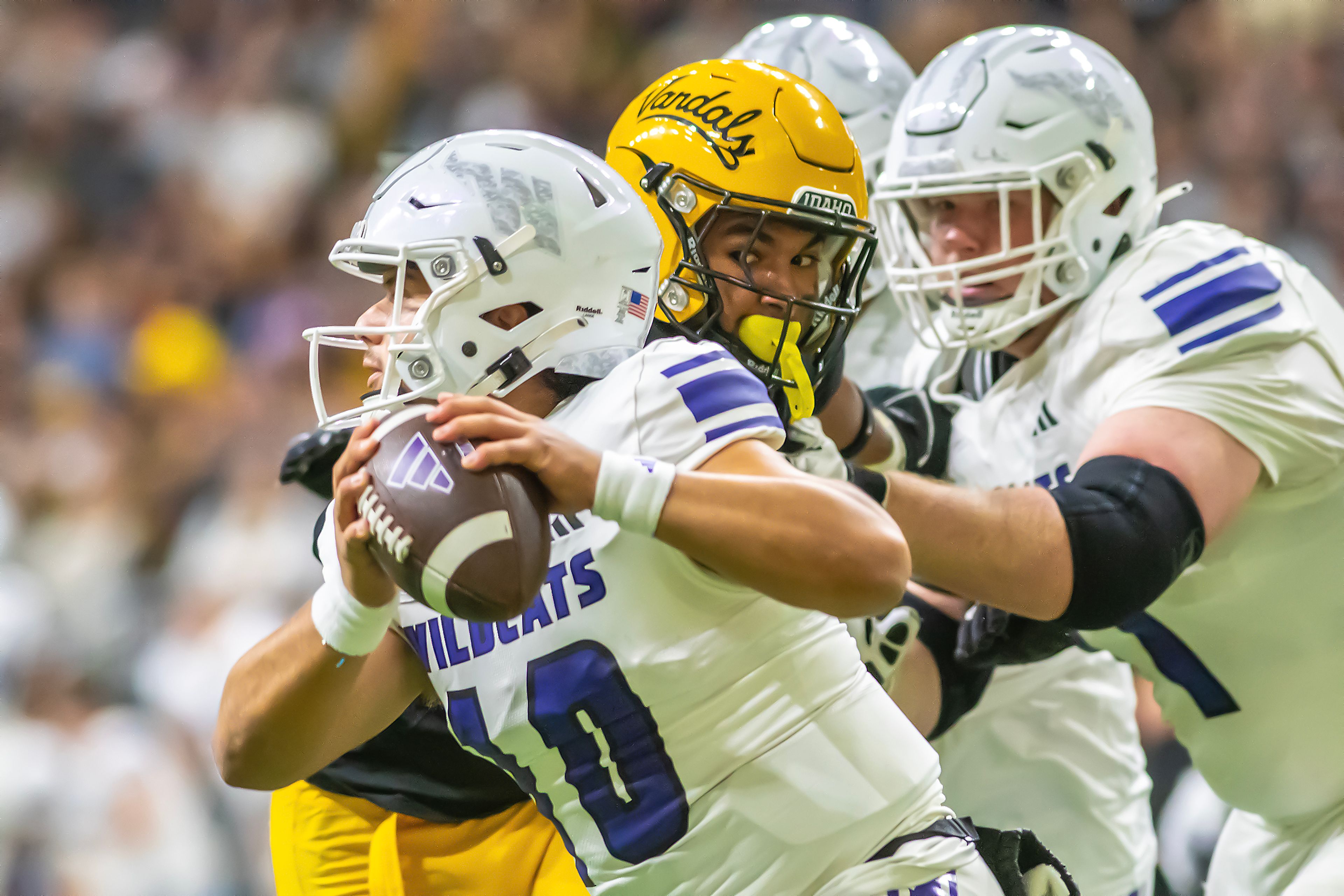 Idaho defensive lineman Malakai Williams sets sights on Weber State quarterback Richie Munoz before sacking him during a quarter of a Big Sky conference game Saturday at the P1FCU Kibbie Dome in Moscow.