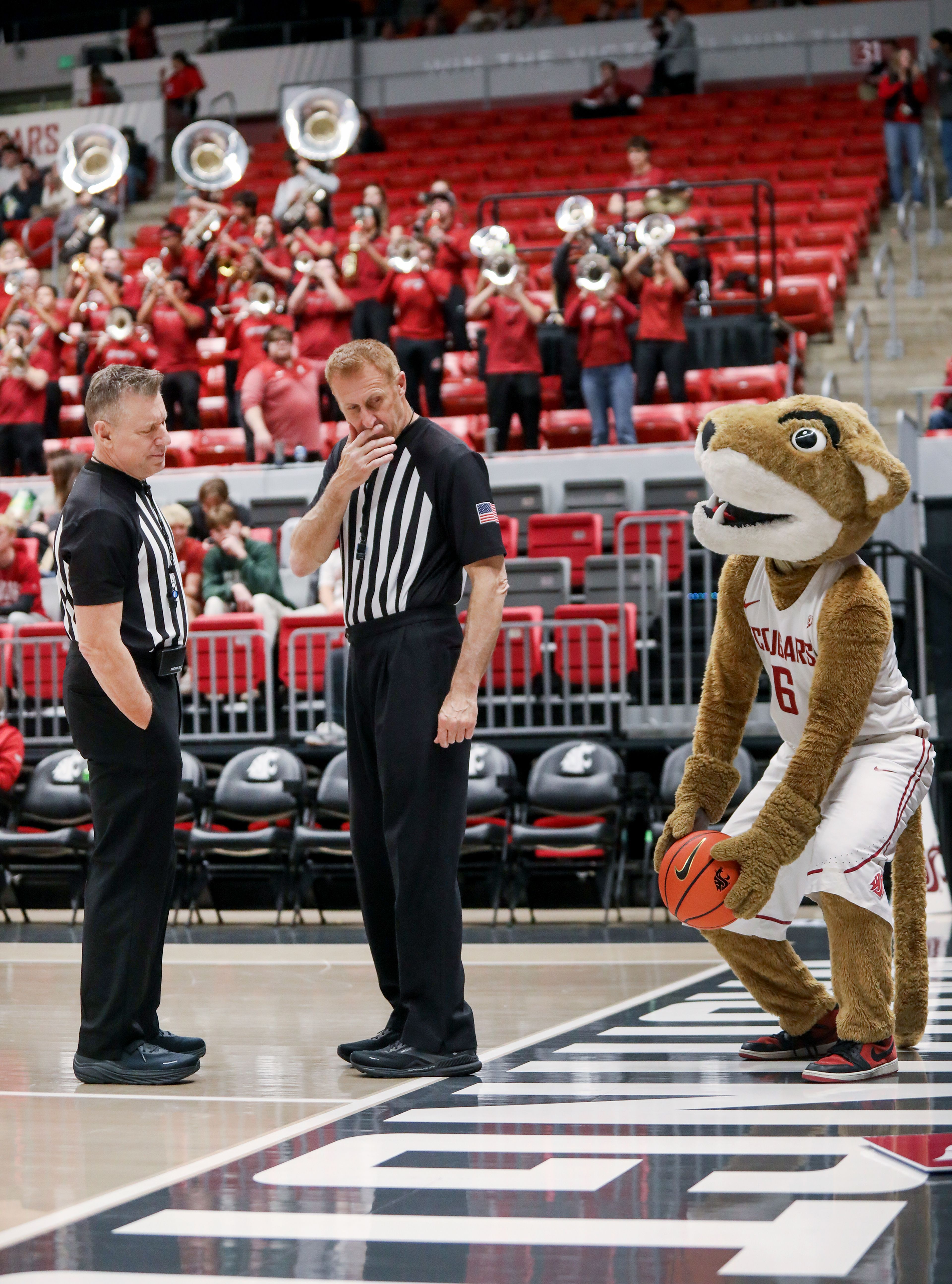 Washington State mascot Butch T. Cougar is noticed picking up the game ball during a time out by referees Monday during the Battle of the Palouse game against Idaho at Beasley Coliseum in Pullman.