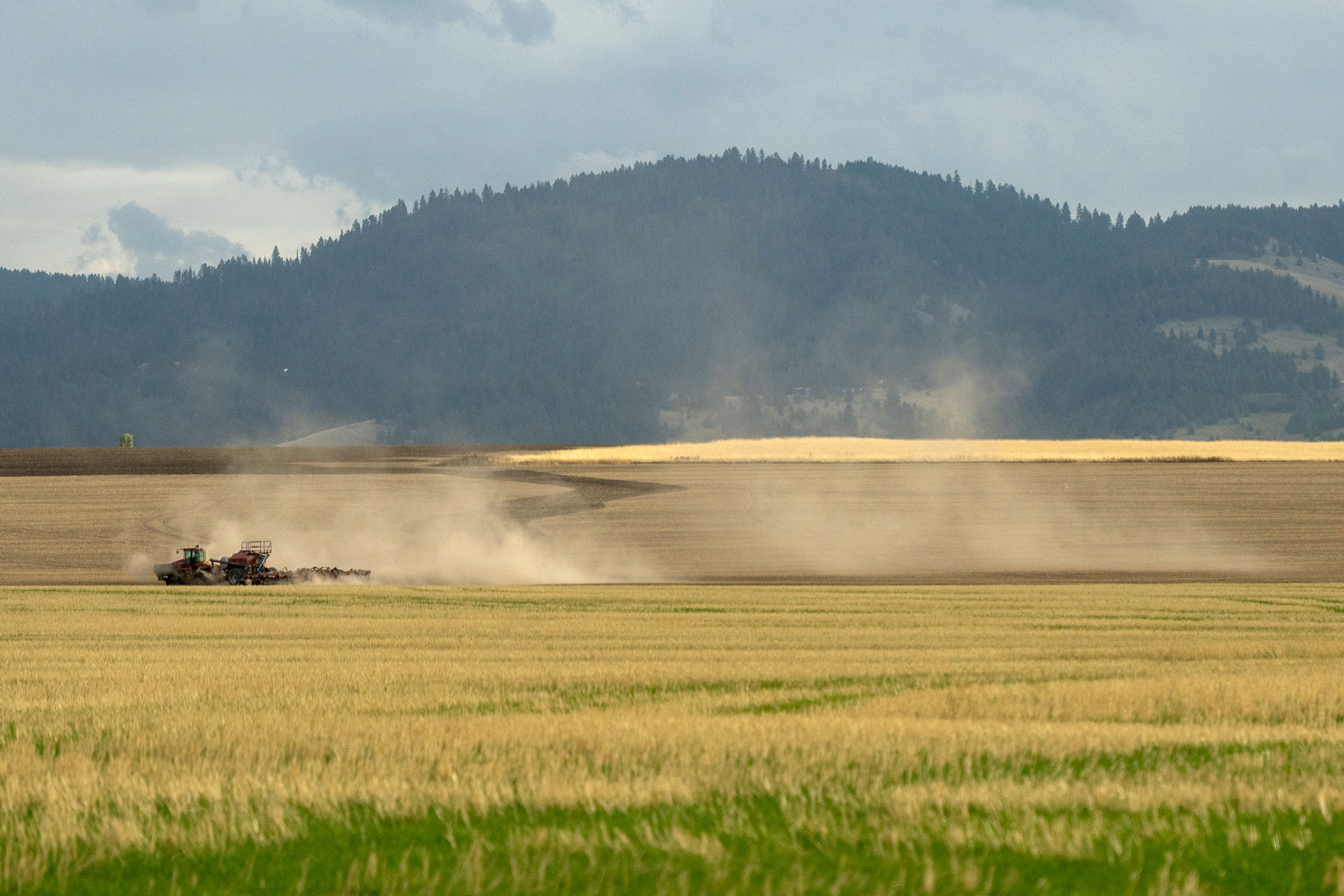Hazy harvest  - home hero image