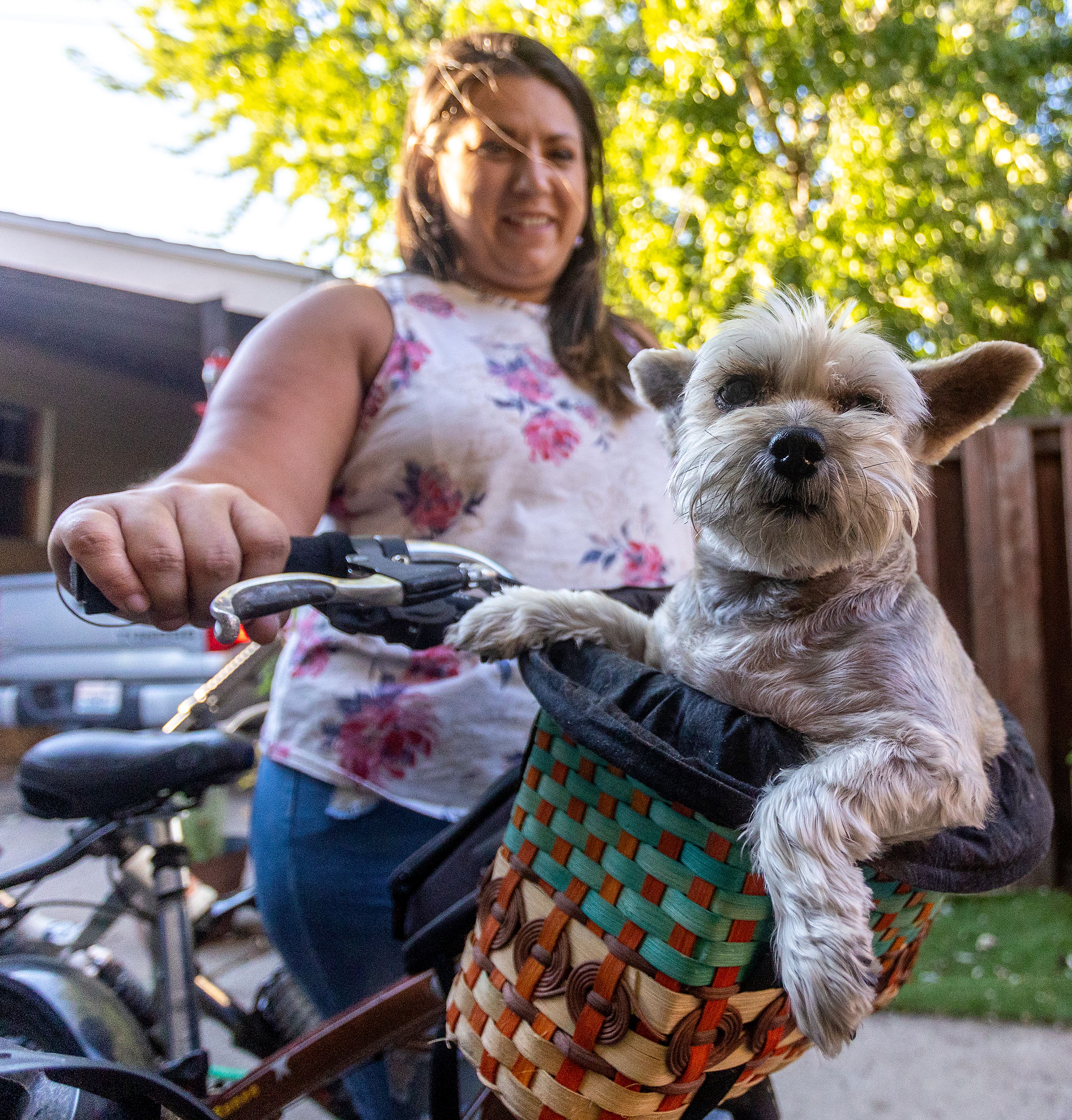 Gracie, also called Grayboo, sits in the basket of Aimee Martinez’s bike ready to ride on Friday.