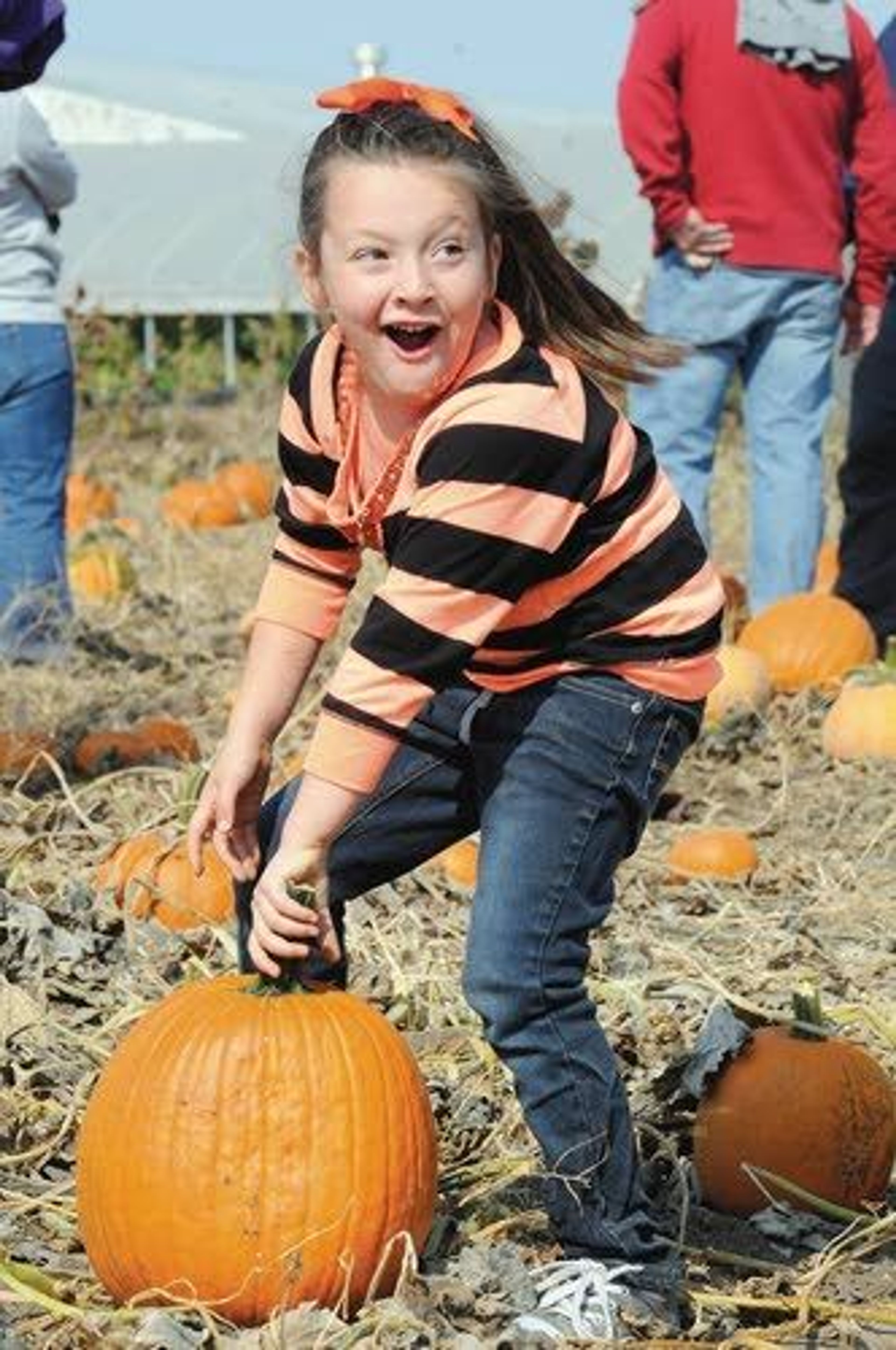 Jordan Mele, 5, of Pullman tries to pick up a large pumpkin Saturday during the autumn festival. Jordan is the daughter of Eric and Melissa Mele of Pullman.