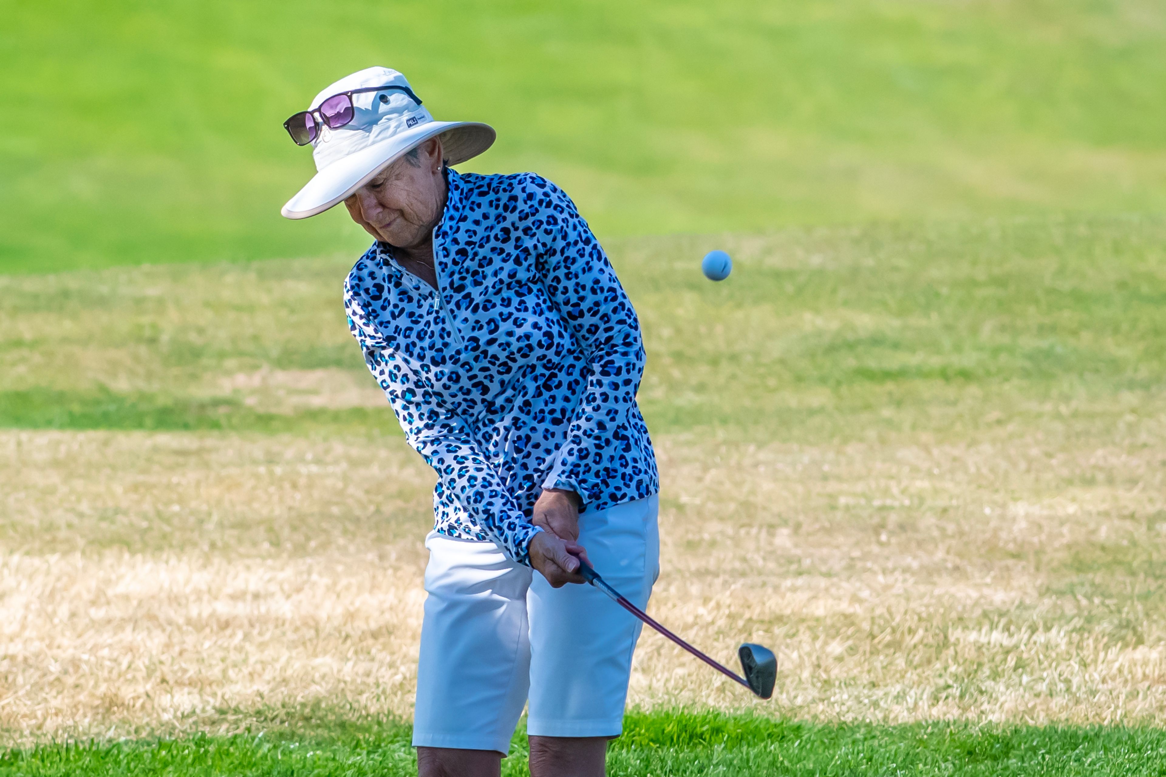 Sharon Vahlkamp, with Red Wolf, hits her ball towards the hole during the Tribune Cup golf tournament at Quail Ridge Golf Course on Tuesday in Clarkston.