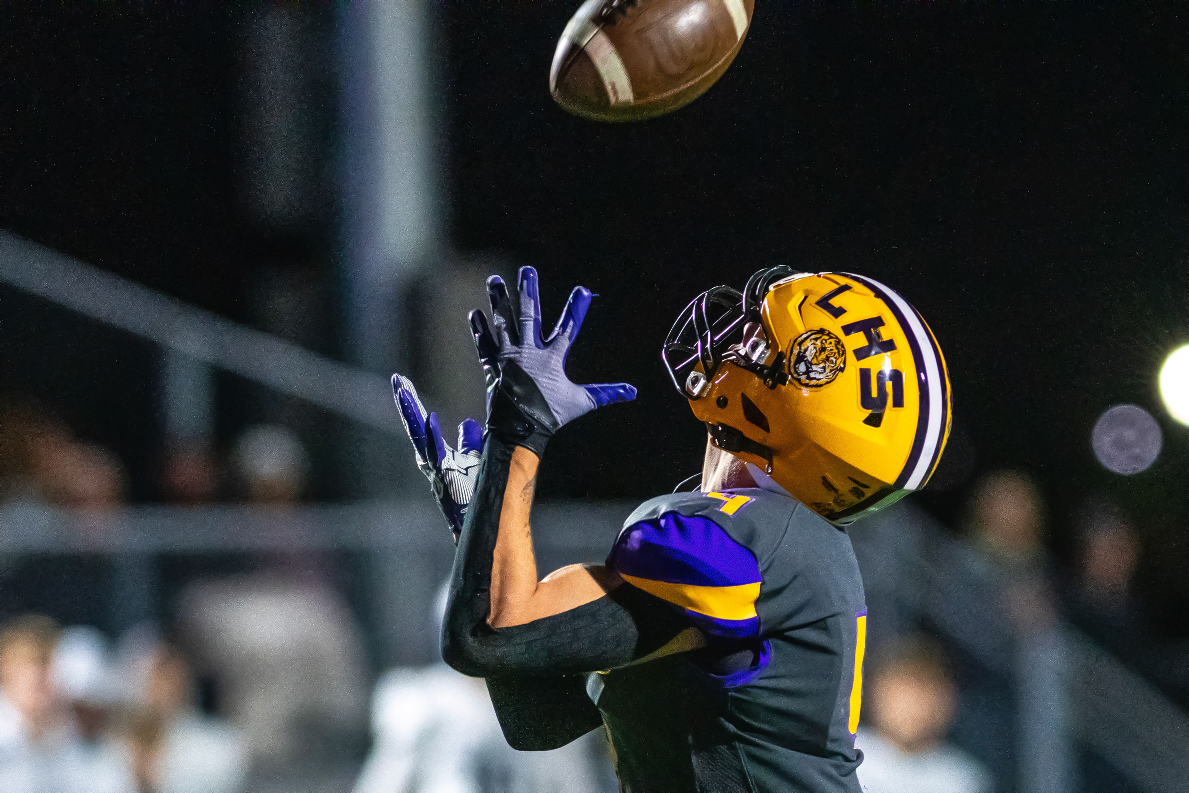 Lewiston running back Noah Carpenter makes a catch for a touchdown against Lake City in a nonconference game Friday at Lewiston High School.,