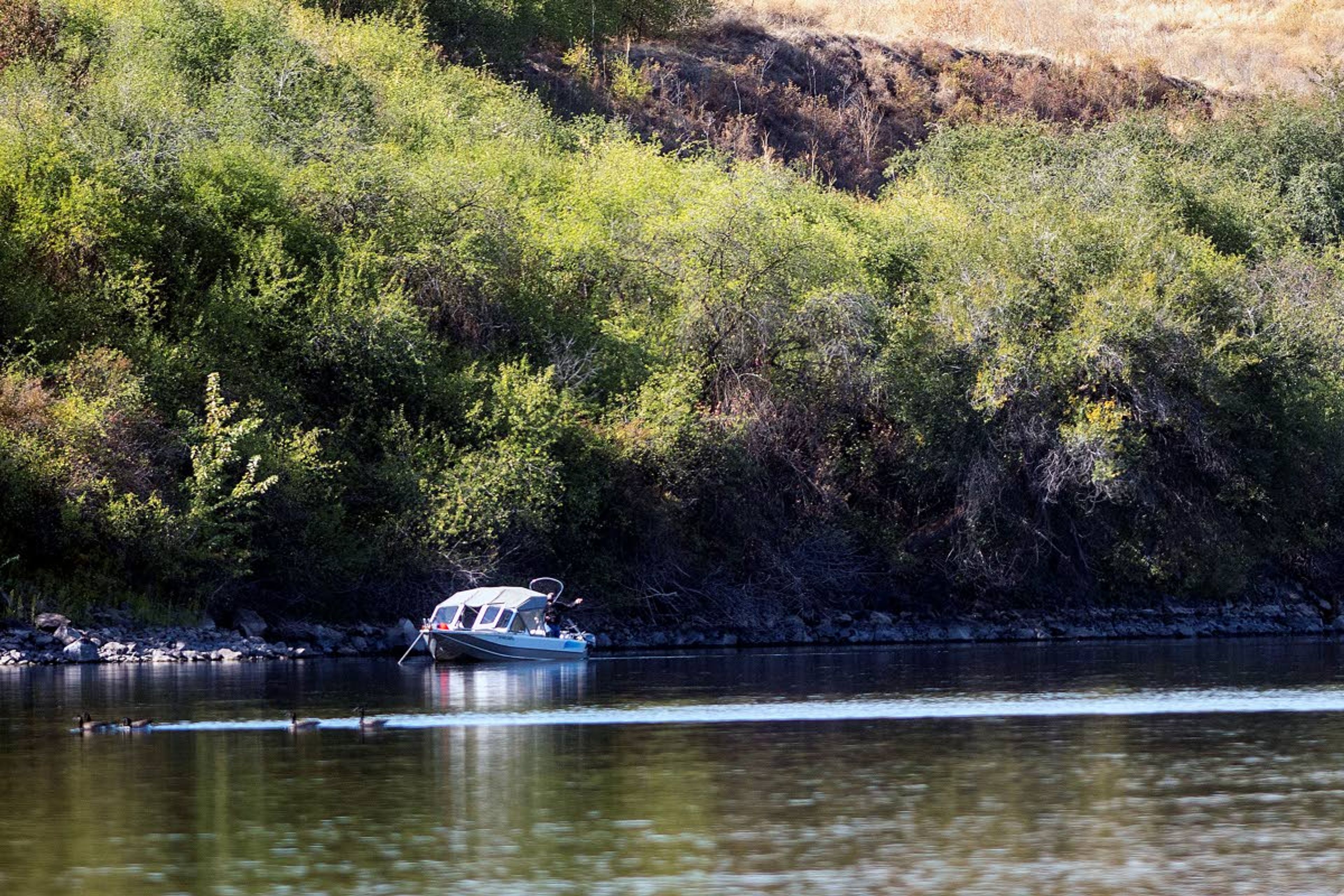 Anglers fish along the south bank of the Clearwater River on Wednesday afternoon near the Goose Pasture Habitat Management Area east of Lewiston. The river, normally busy this time of year is quiet because of the closure to steelhead fishing. Fall chinook and coho fishing remain open on the river.