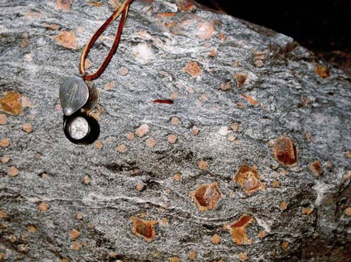 Clarkia show their age