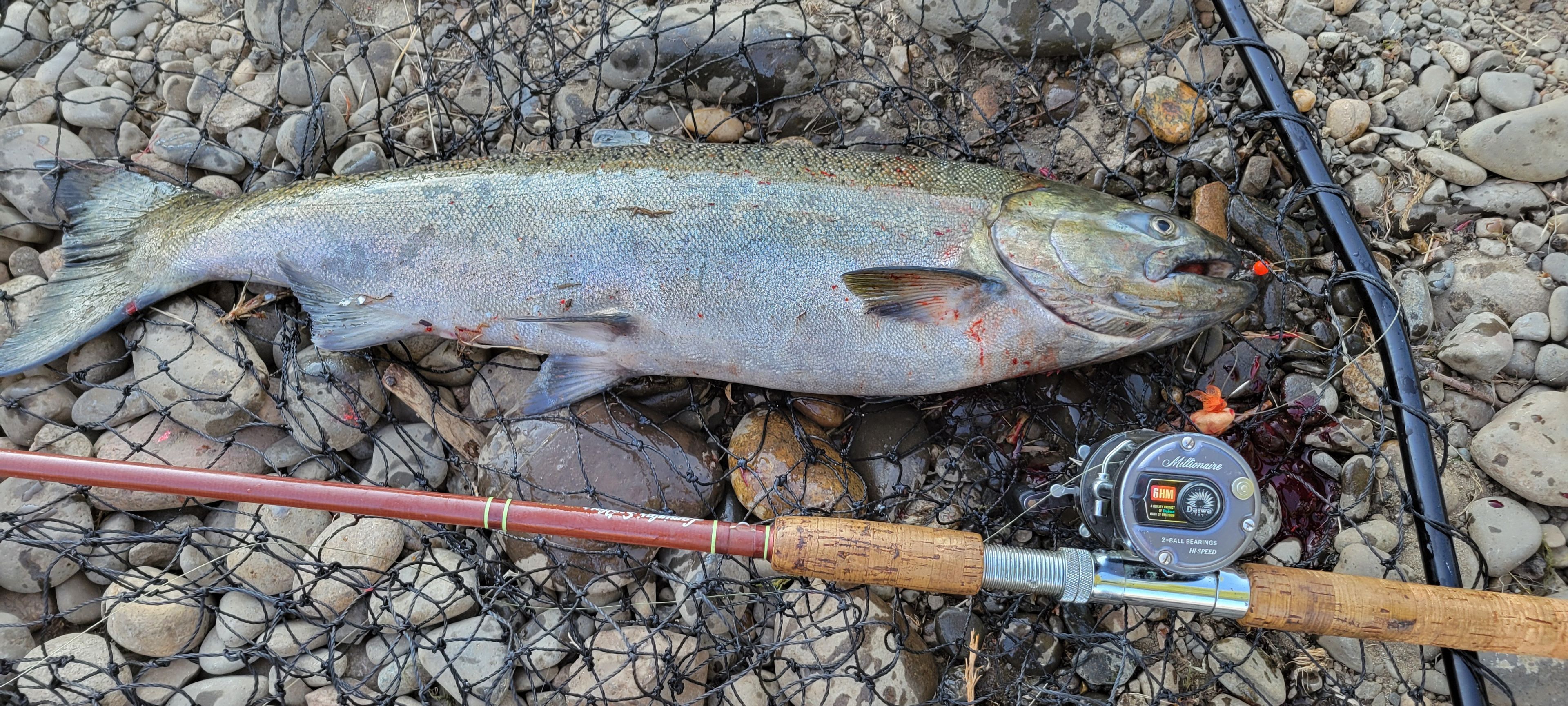 Anglers on the Clearwater fall short of harvest share