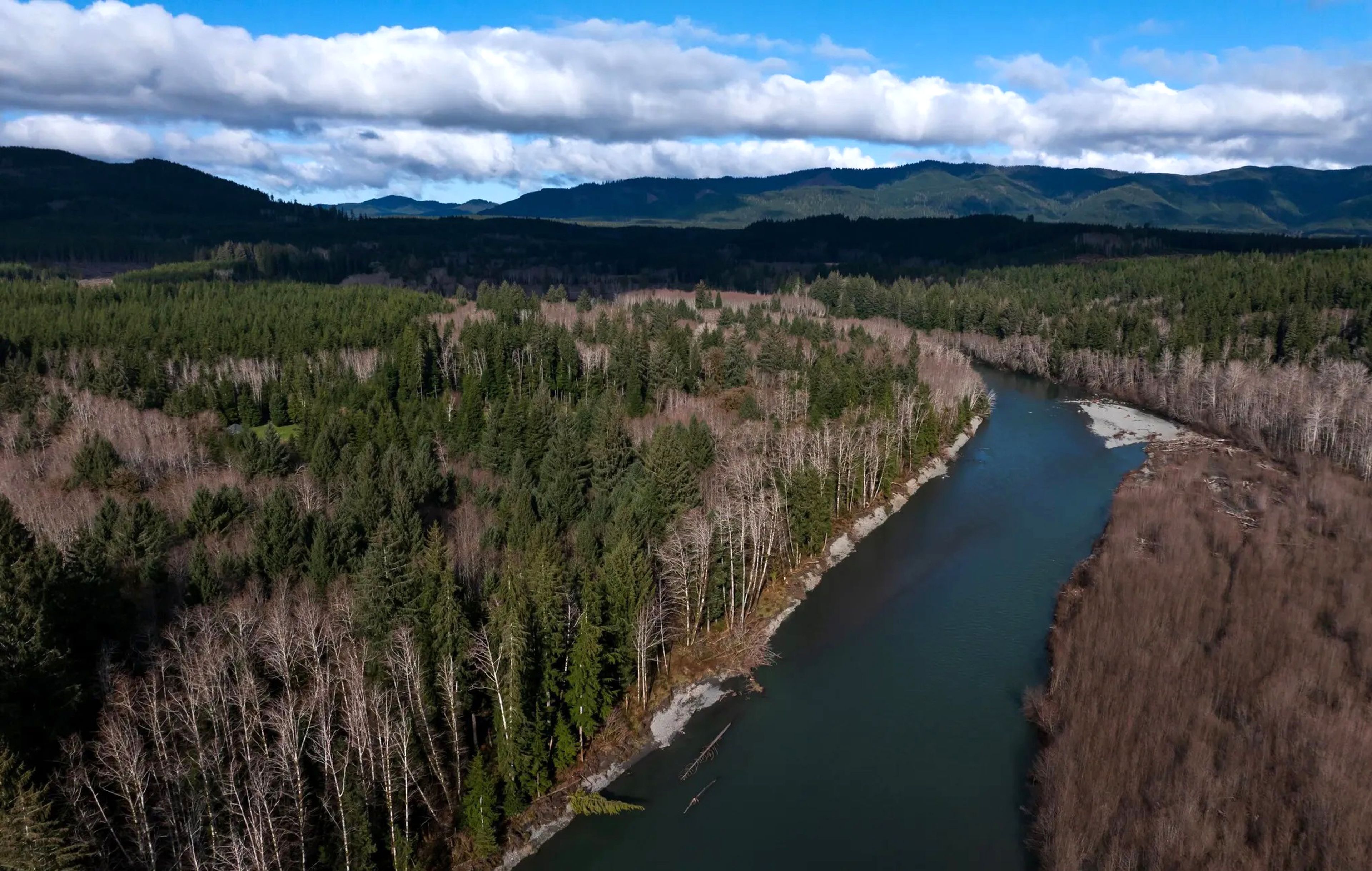 The Hoh River is seen on the Olympia Peninsula in Washington state. (Erika Schultz / The Seattle Times)