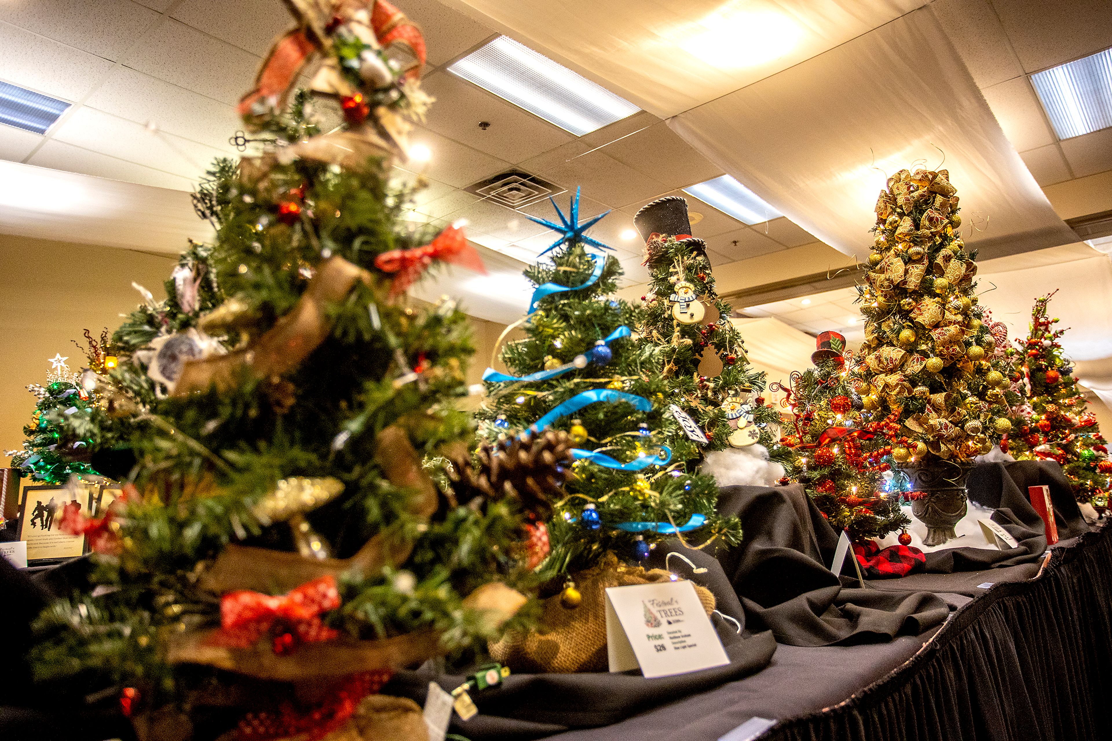 Trees sit out completed and ready for viewing during the Tri-State Hospital Foundation Festival of Trees on Wednesday.