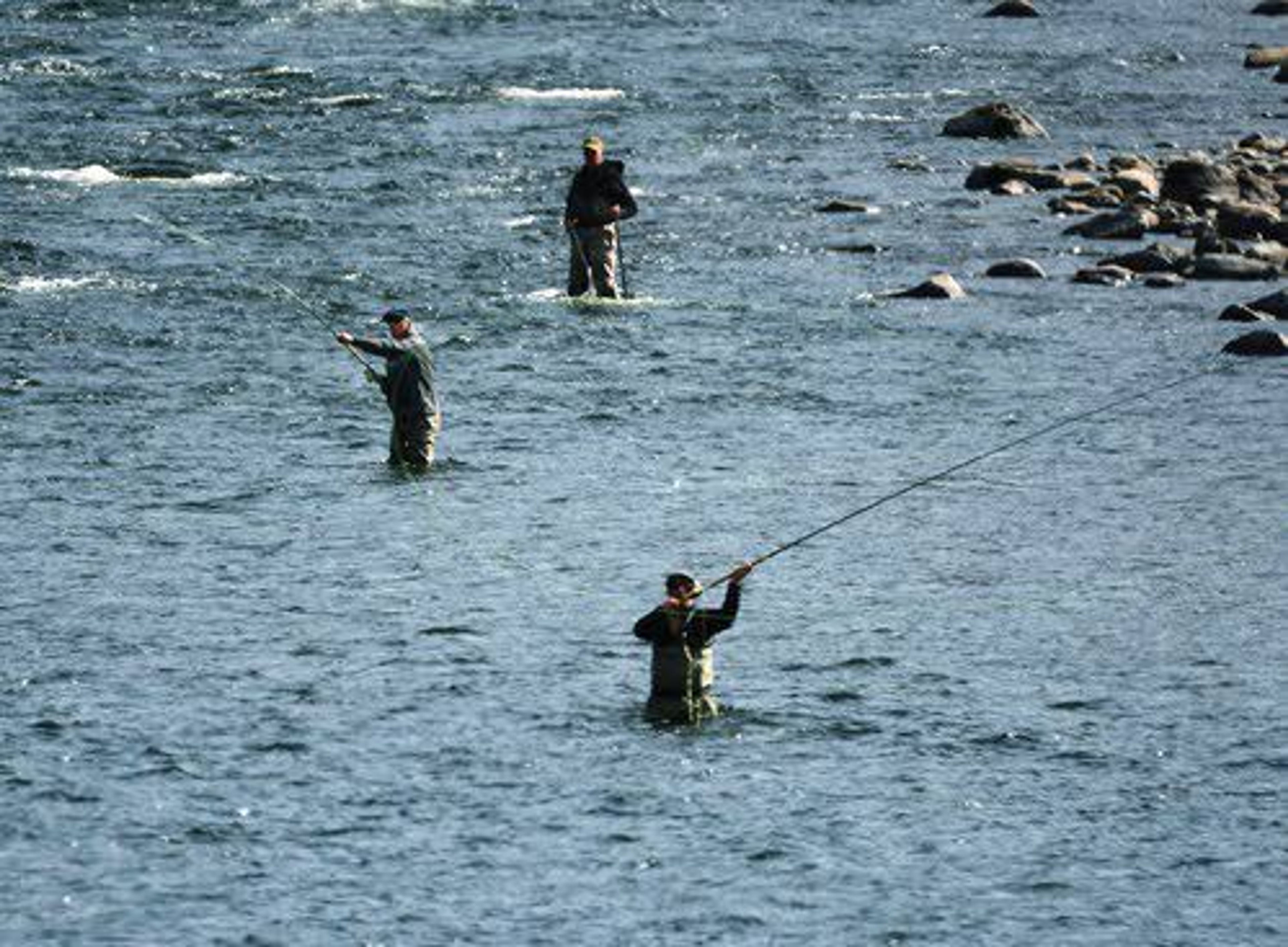 Competitive sport