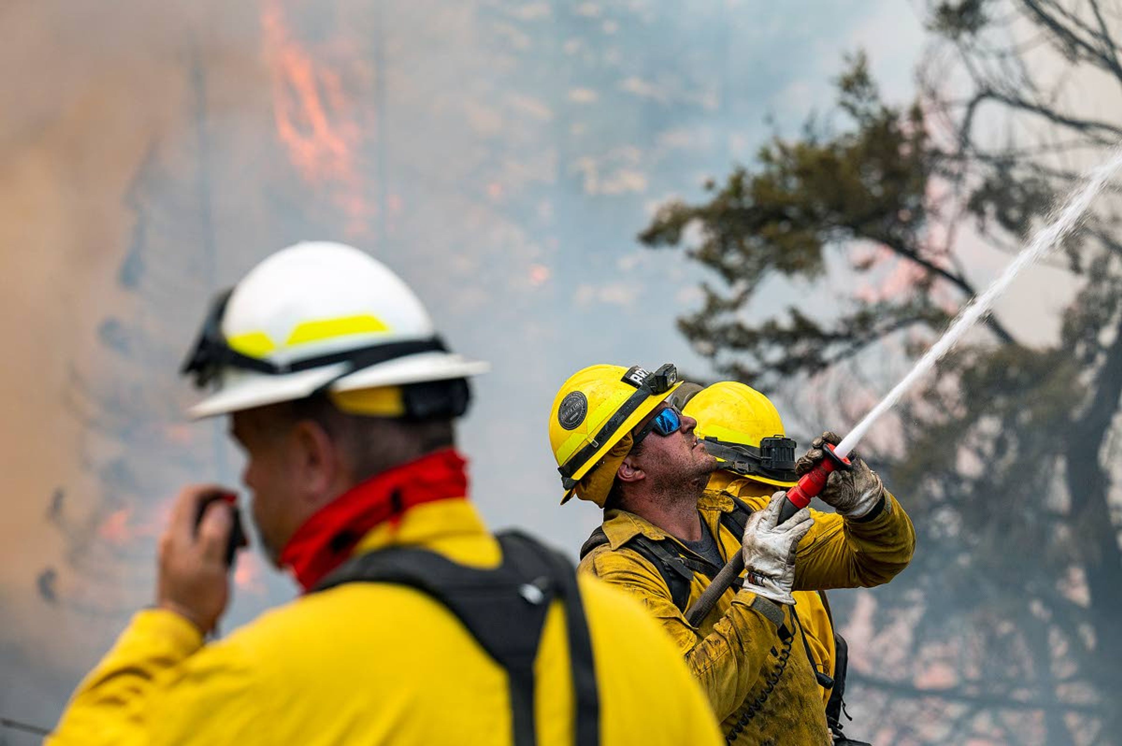 A wildland firefighter hoses down a tree that caught fire as multiple crews work on creating a fire line along Harlow Ridge as the main part of the Lick Creek Fire burns below them in a gulch on Monday afternoon southwest of Asotin.