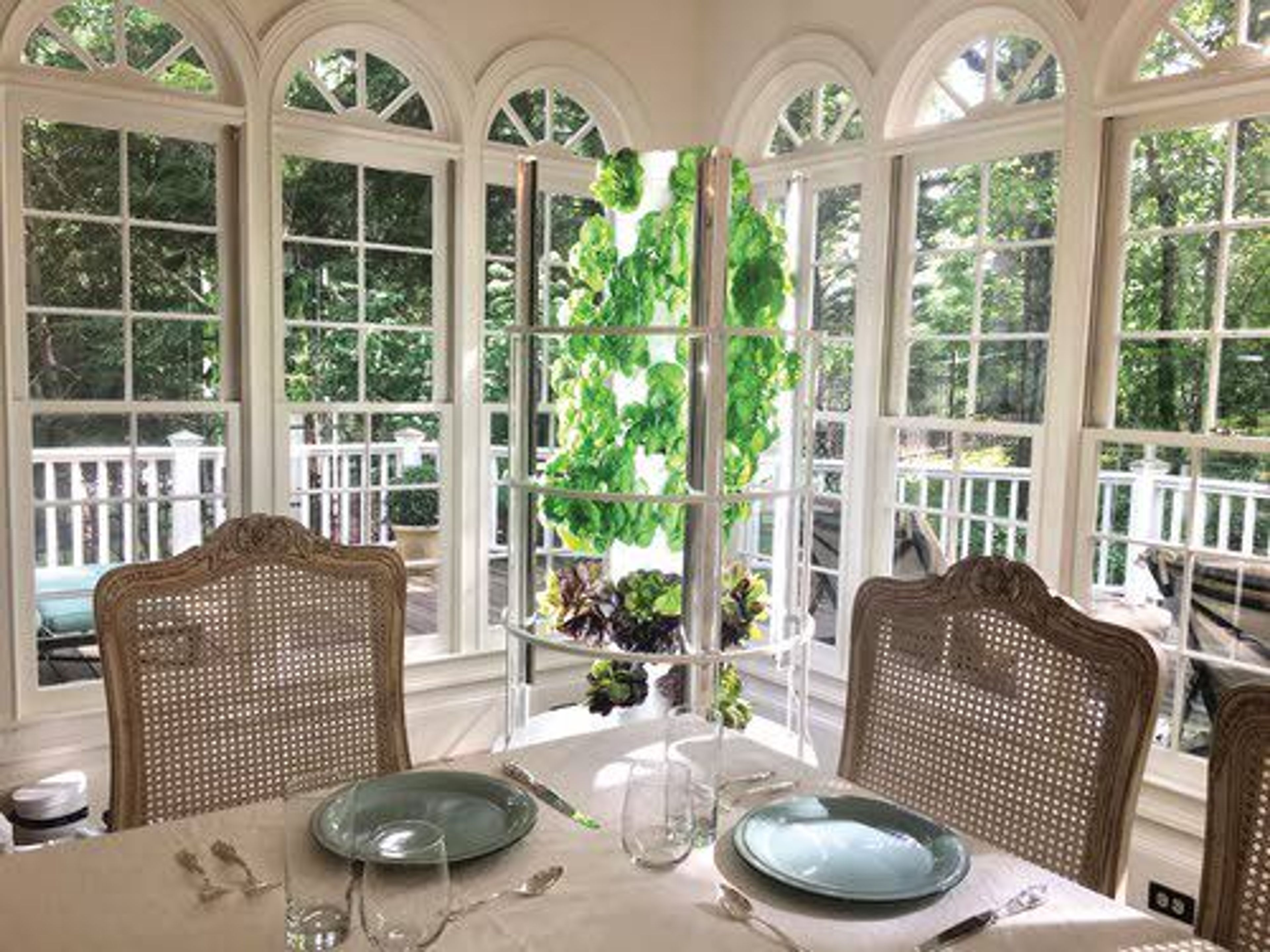 This photo by Dina Klempf shows an indoor grow garden. The vertical garden of growing greens, and the burble of a circulating water pump make for a pleasing, pretty addition to a sunny kitchen or sunroom.