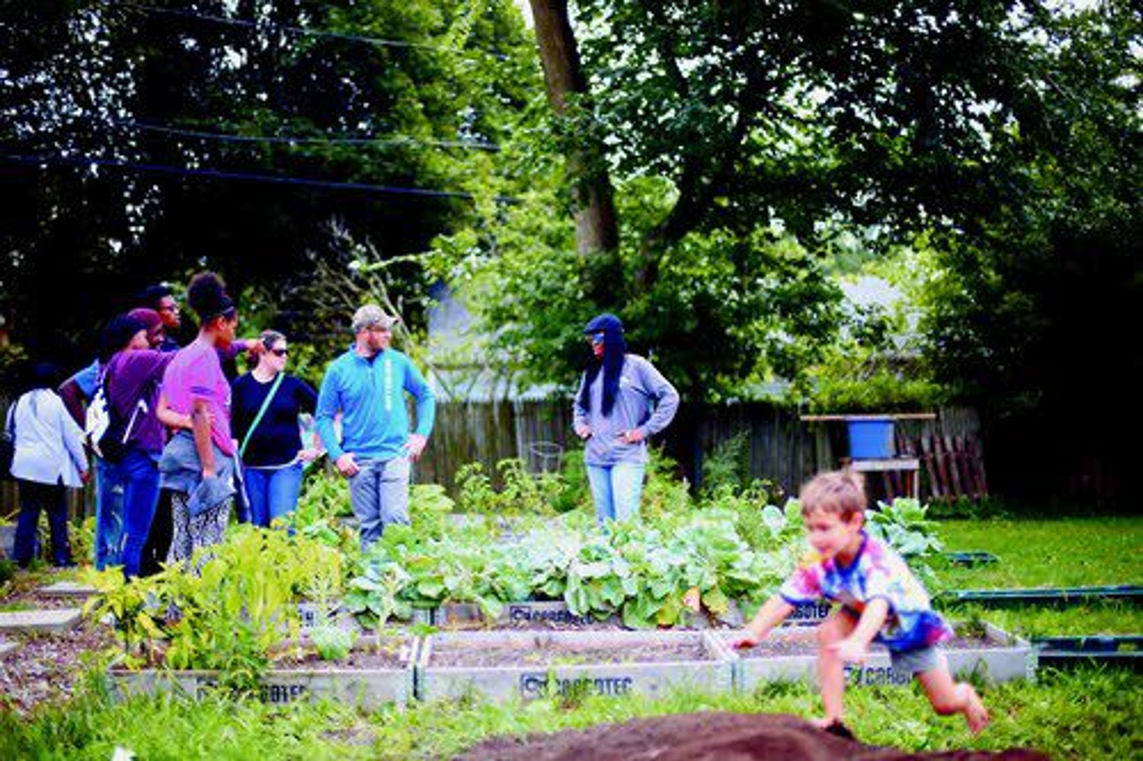 Goats, veggies, flowers replace blight on urban Ohio farm