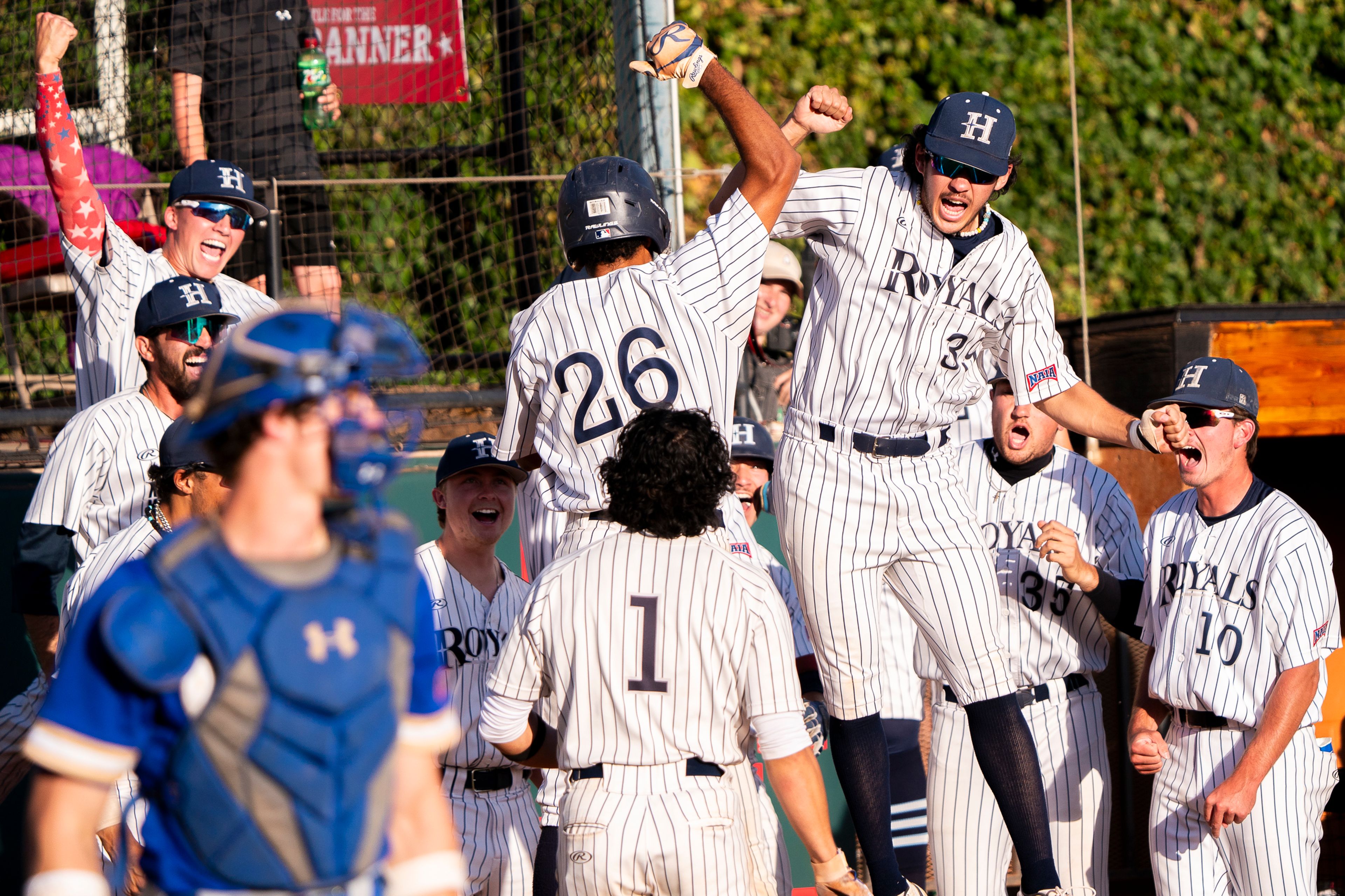 Hope International celebrates following JJ Cruz’s (26) home run during Game 19 of the NAIA World Series against Tennessee Wesleyan on Friday at Harris Field in Lewiston.