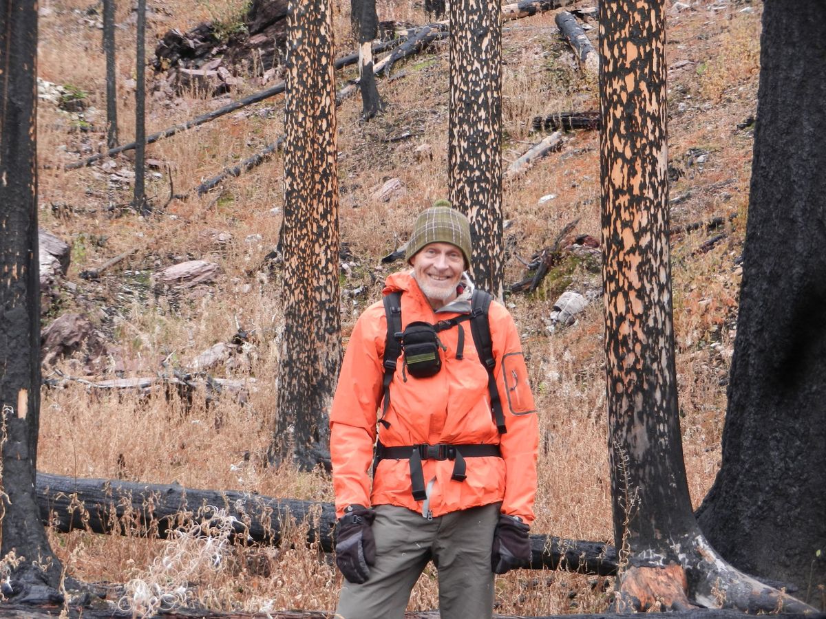 OPINION: When laws are ignored, national forests become exploited – The Lewiston Tribune