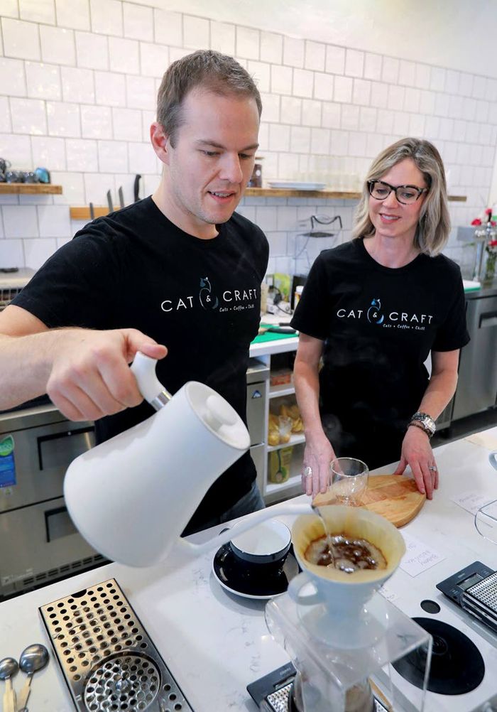 Coffee, tea or kittens?