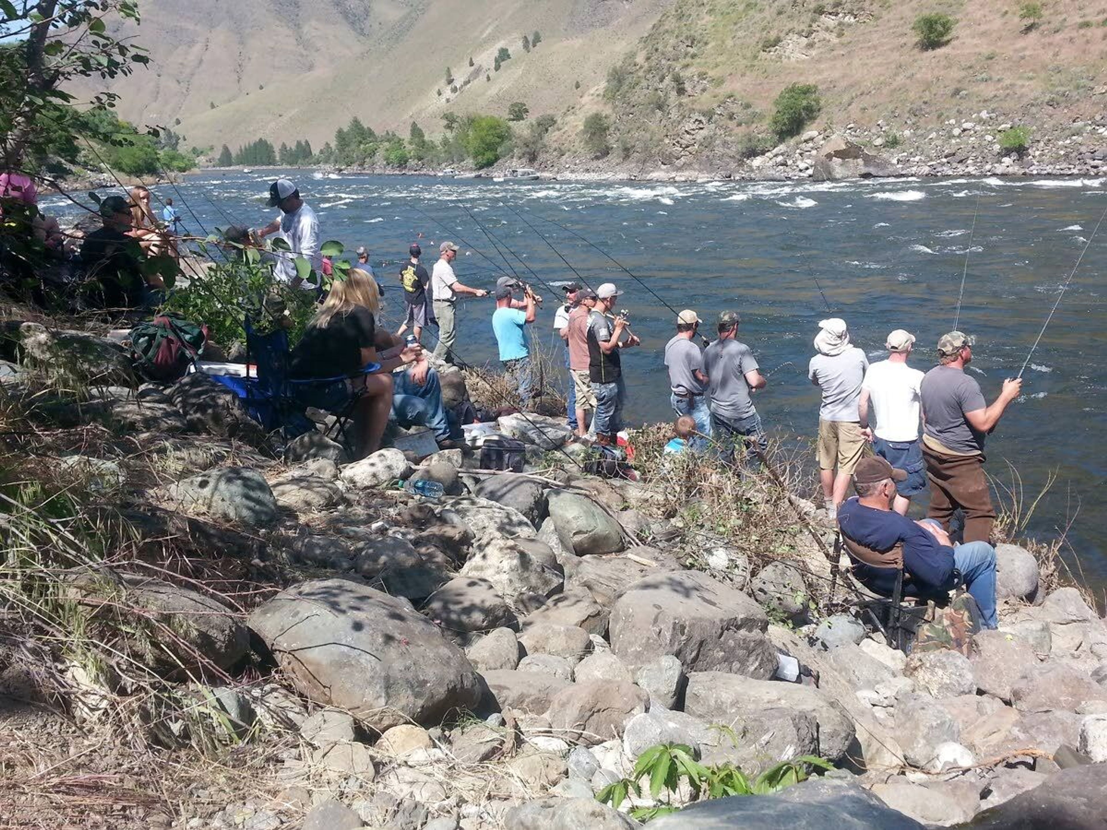 Idaho approves modest spring chinook season