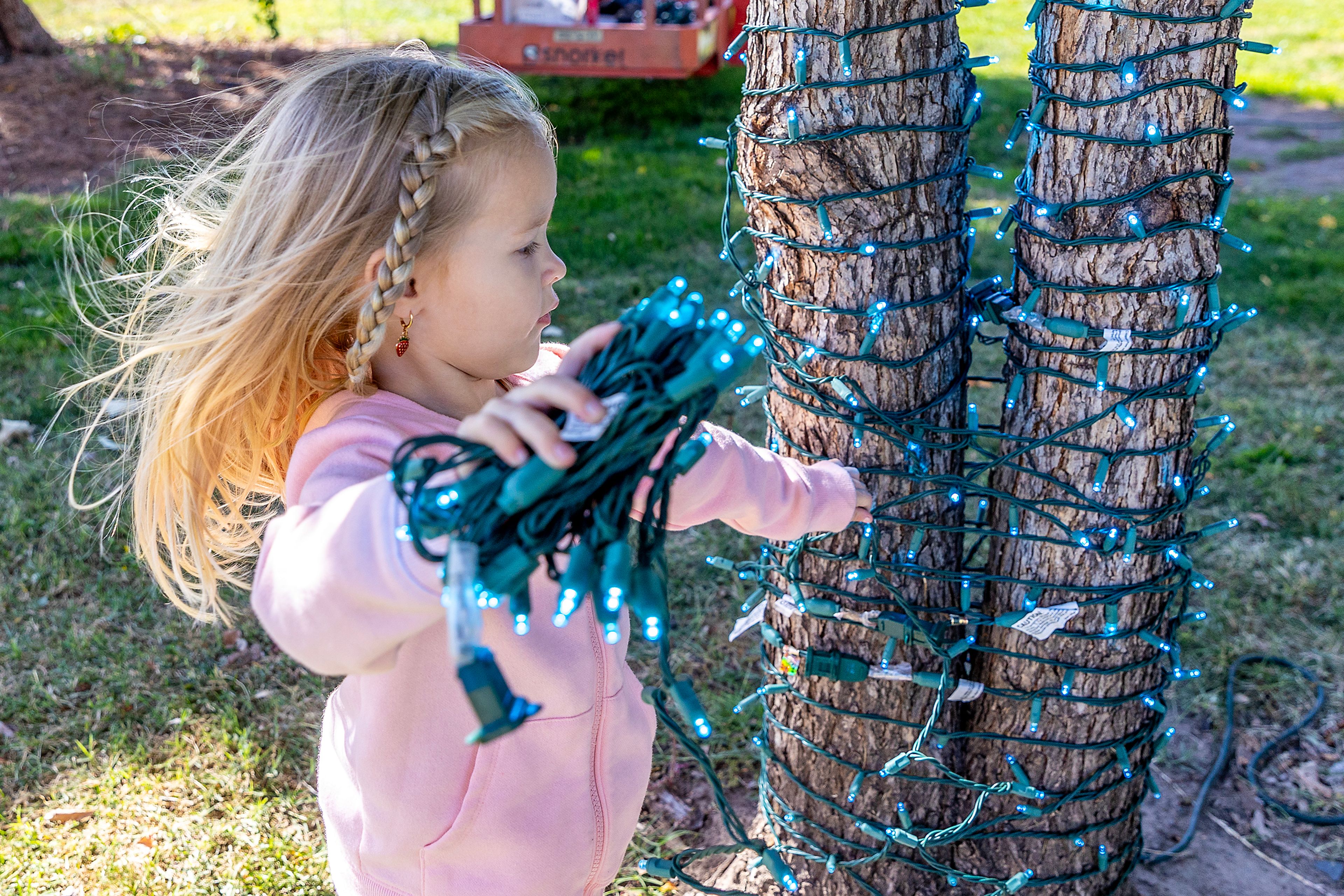 Brylee Bell, 4, of Lewiston, helps out wrapping lights around a tree during setup for the Winter Spirit holiday light display Tuesday at Locomotive Park in downtown Lewiston. The lights at the park are usually switched on in mid-November.