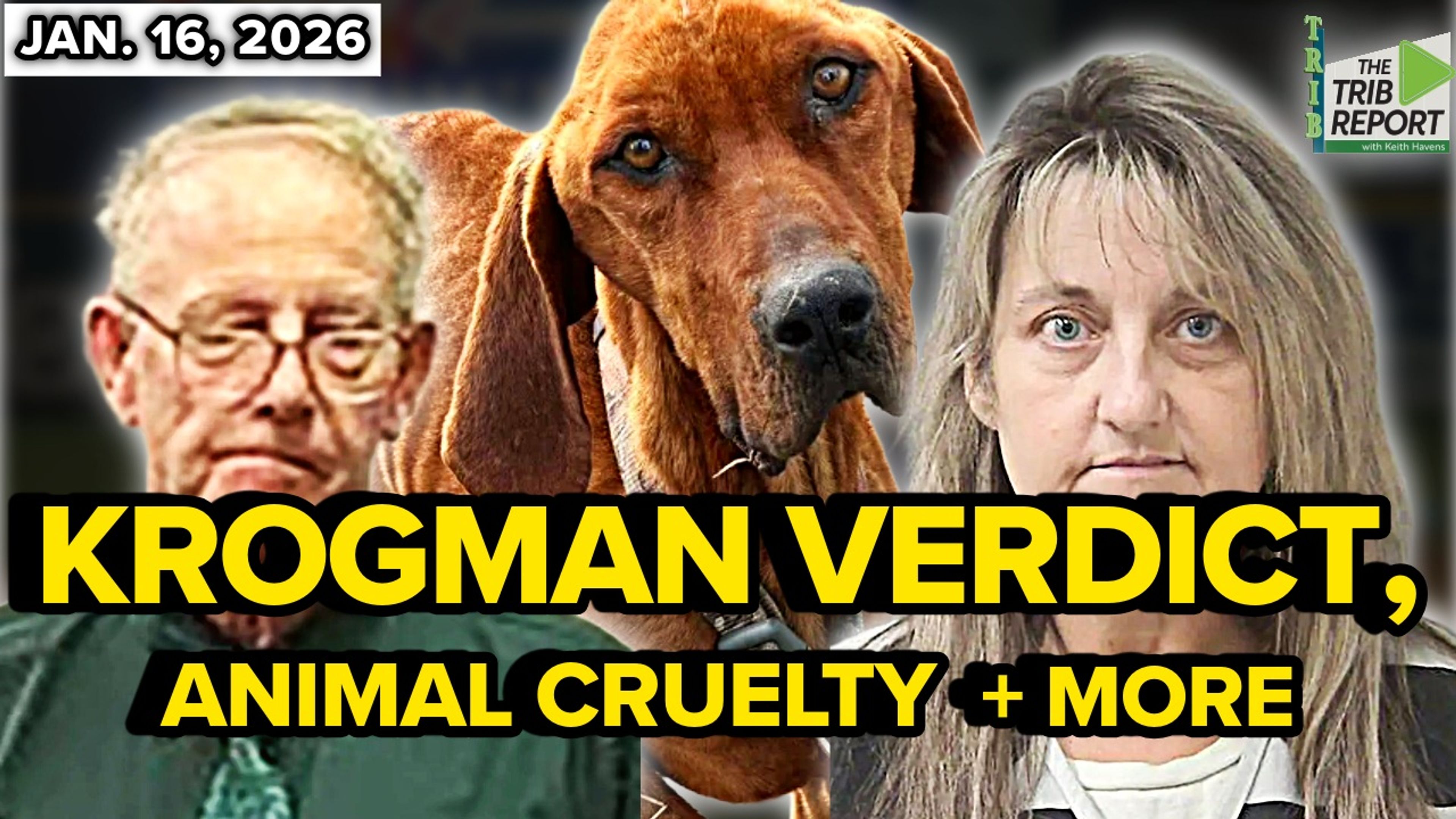 The Trib Report: Jan. 16, 2026