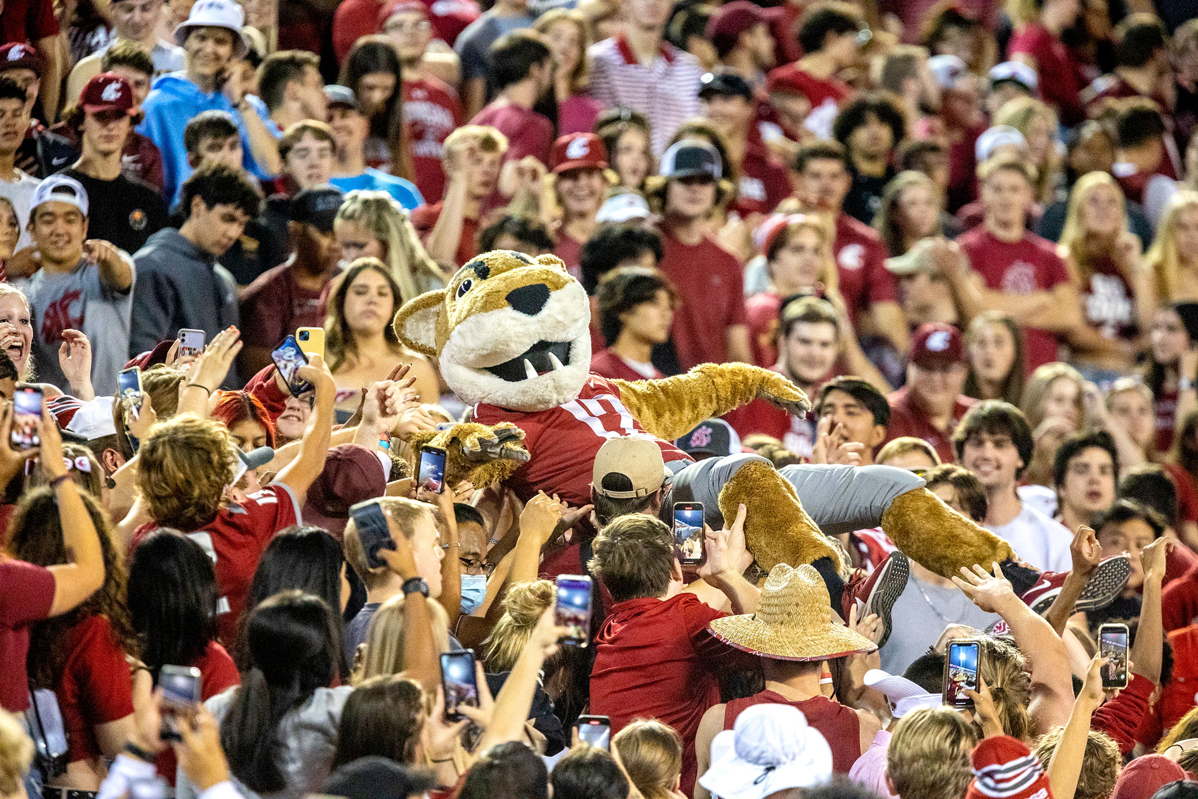 Butch T. Cougar crowd surfs in the student section during Washington State’s Sept. 3 nonconference game against Idaho at Gesa Field.