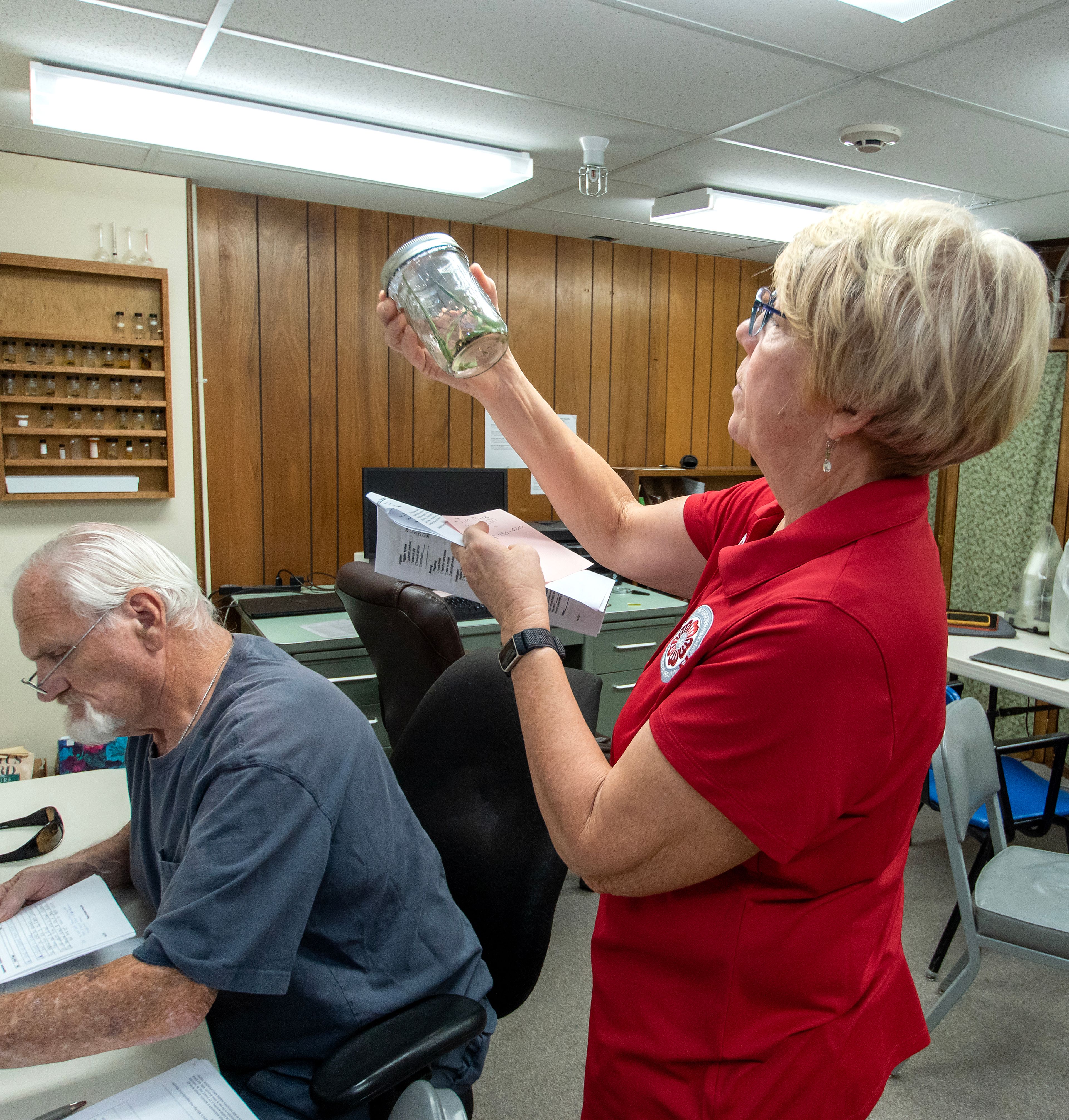 Asotin County Master Gardener Ruth Monohan tries to identify an isnsect in a Mason jar that was brought in by a resident while fellew master gardener Tom Van Horn looks over a question asked by another resident September 13.