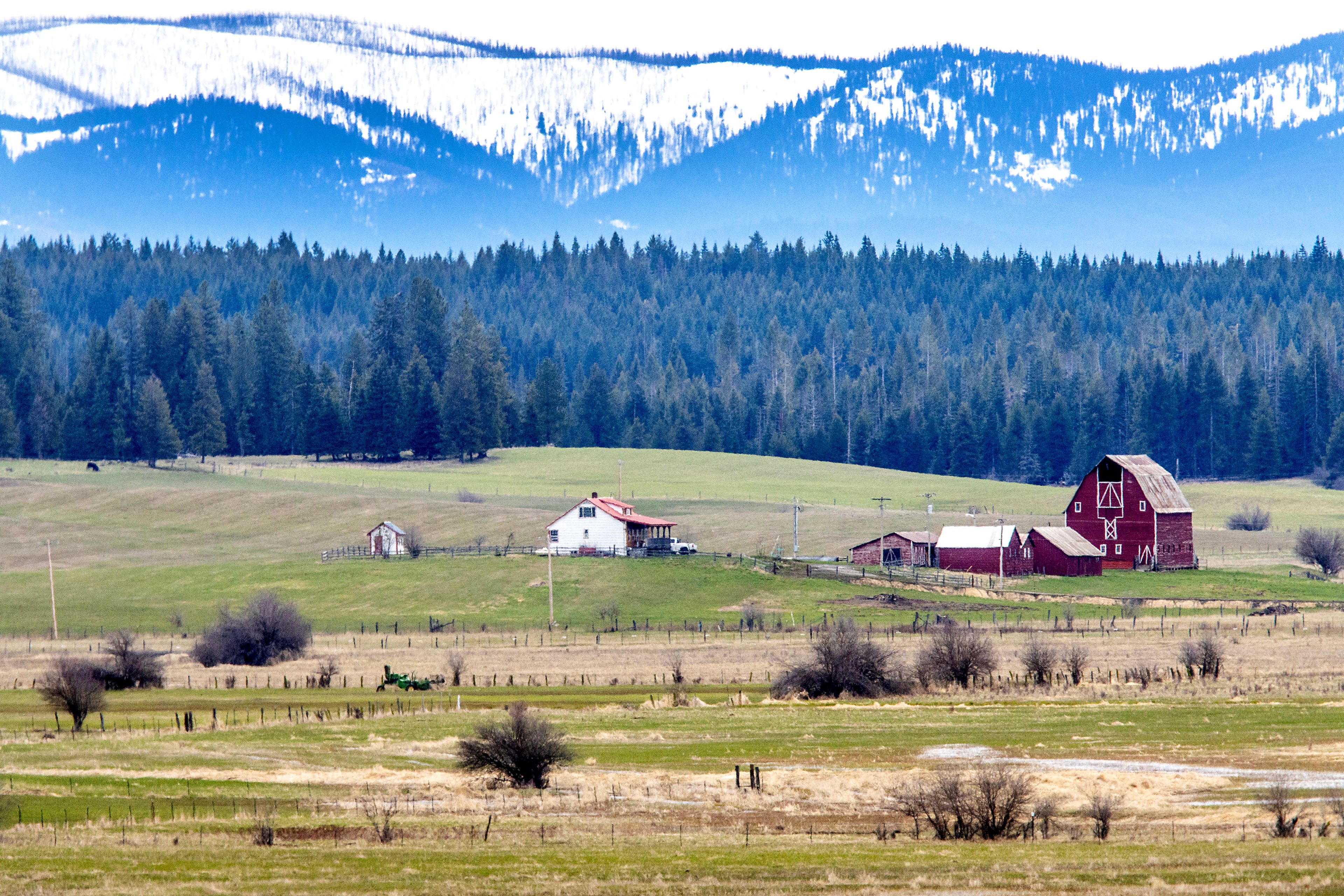 The Weippe prairie is pictured Wednesday, April 26, in Weippe.