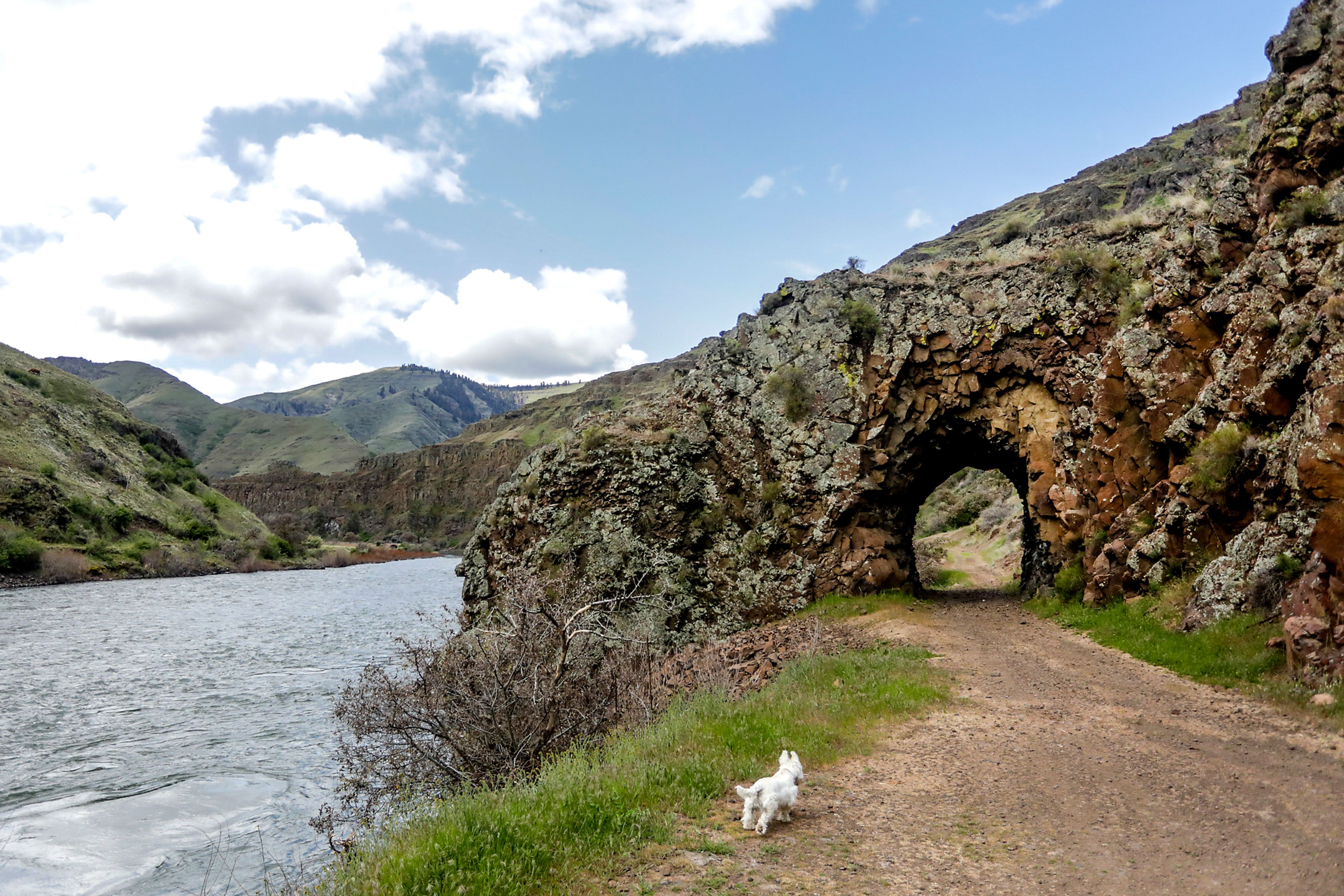 ABOVE: Hole in the Wall is seen along the Grande Ronde River, as Pete the dog runs forward to investigate. The hole in the basalt rock was created in the 1890s by dynamite blasting so wagons of the day could continue their journey along the river.